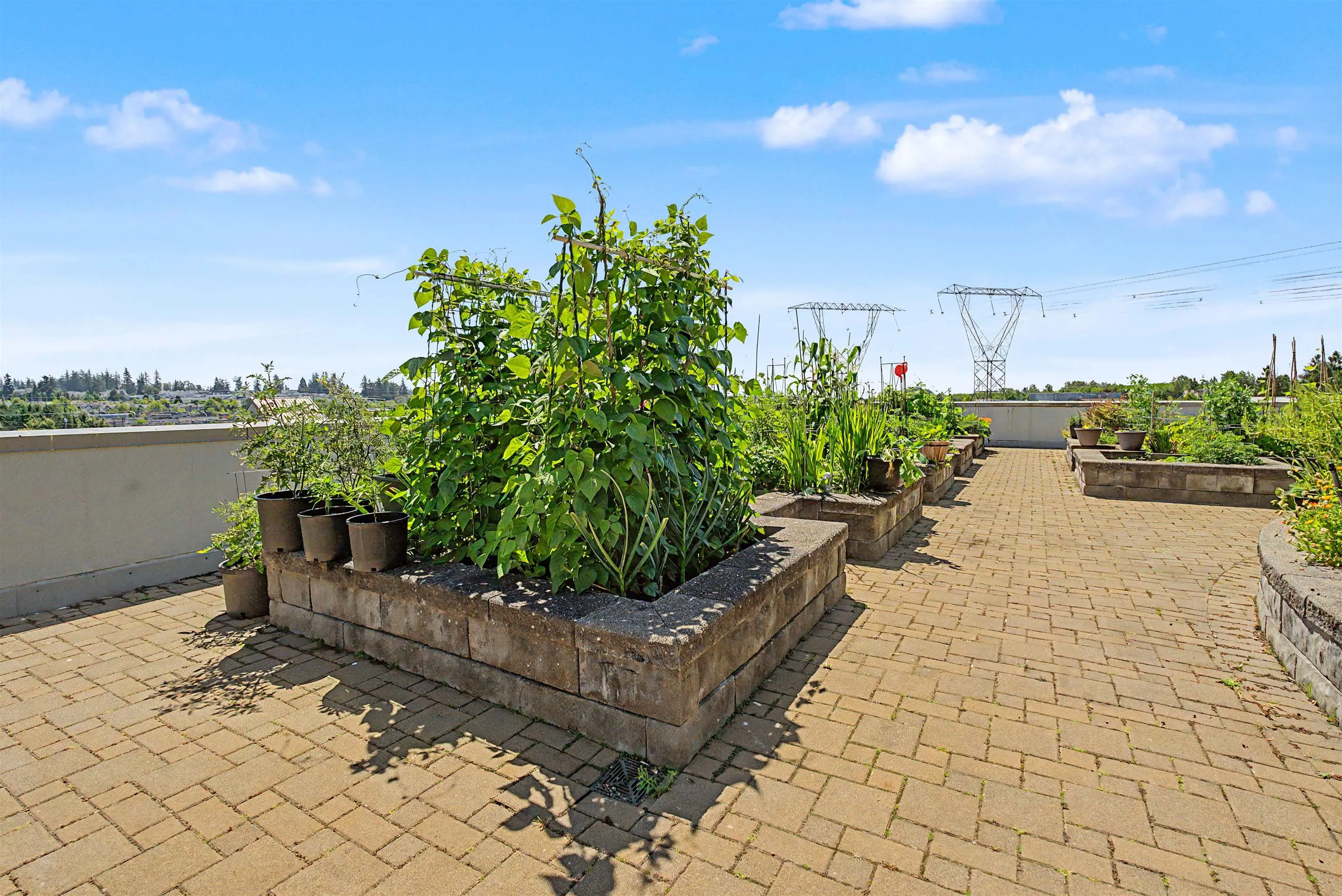 15850 26 Avenue #252