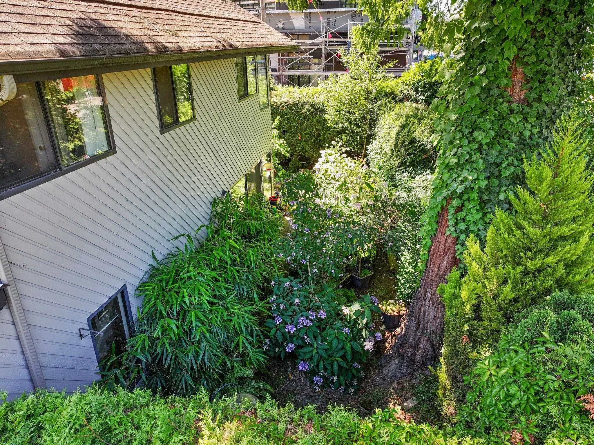 460 W 16th Avenue #31