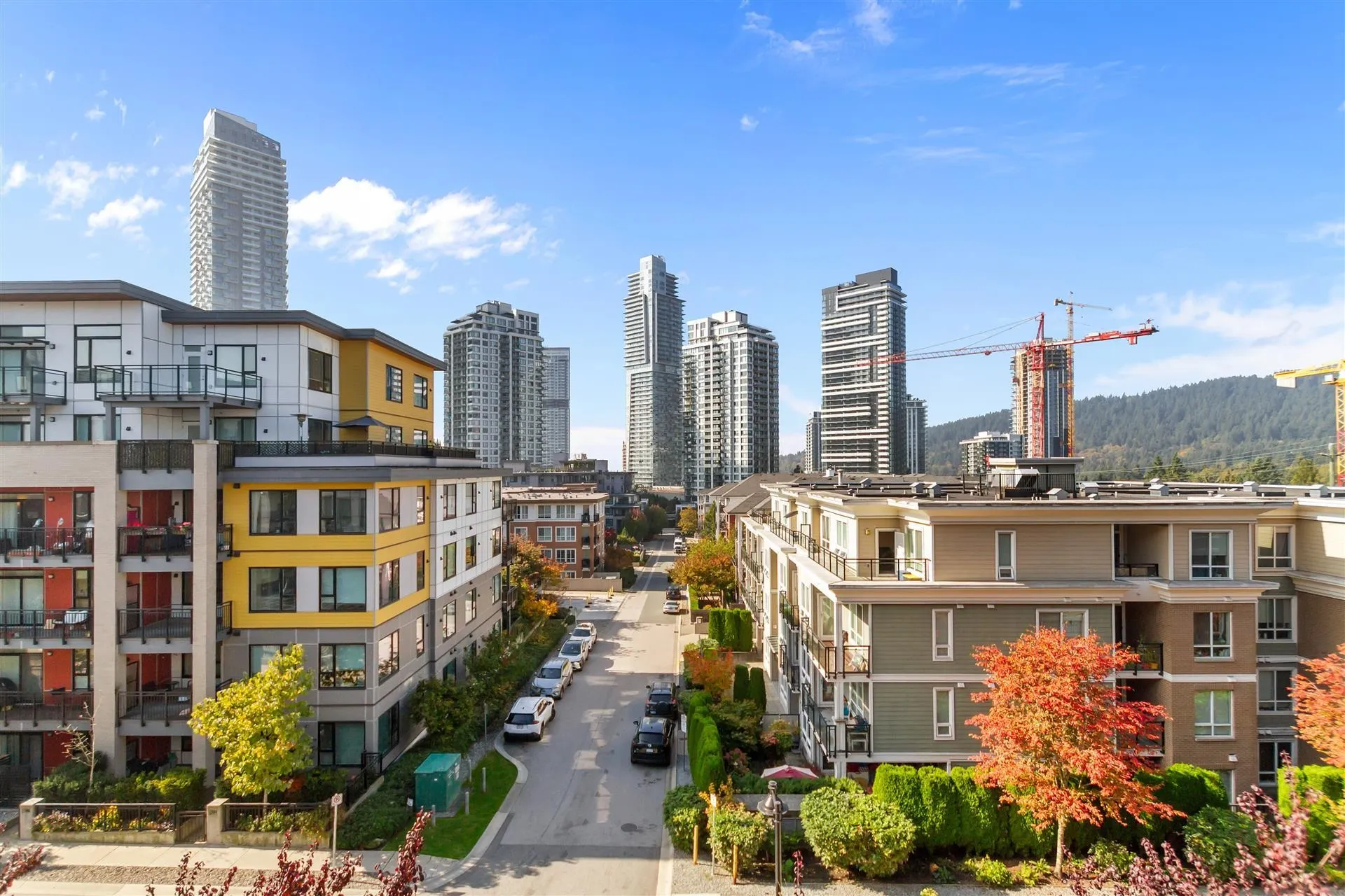 750 Dogwood Street #411