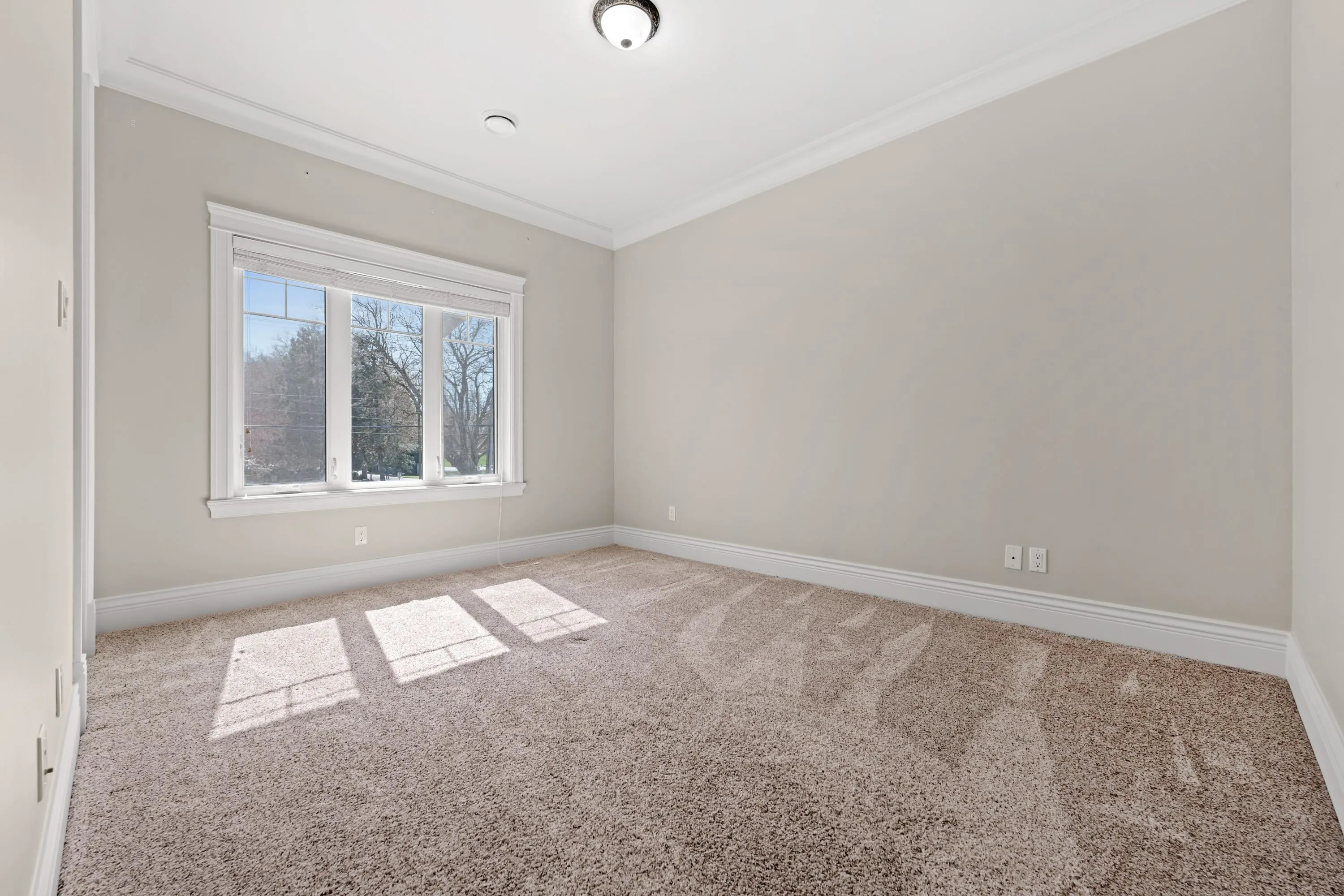 8651 Williams Road
