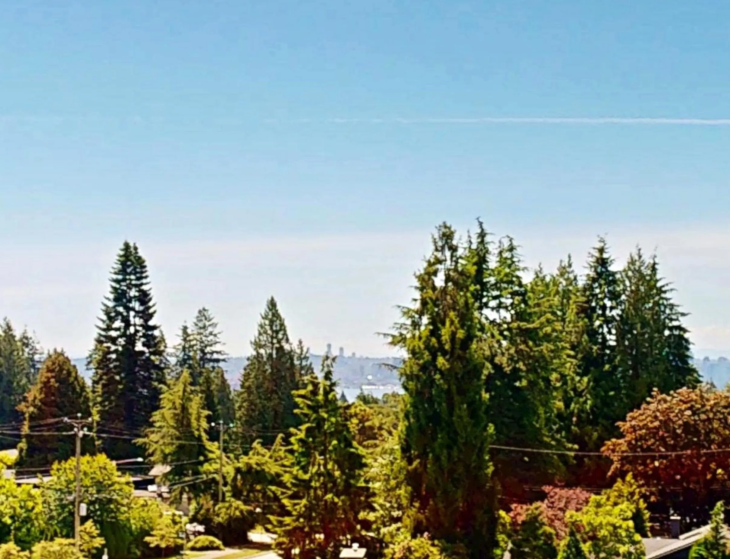 650 Evergreen Place #402