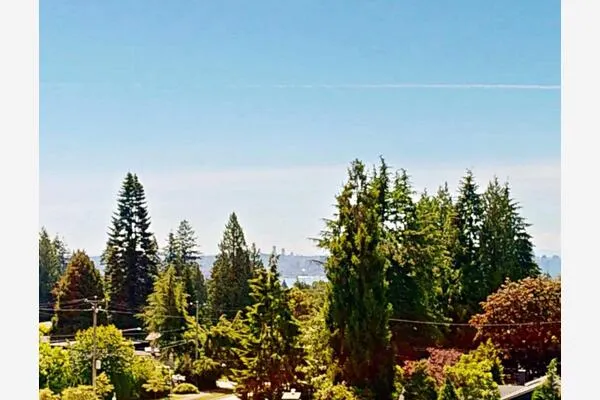 650 Evergreen Place #402
