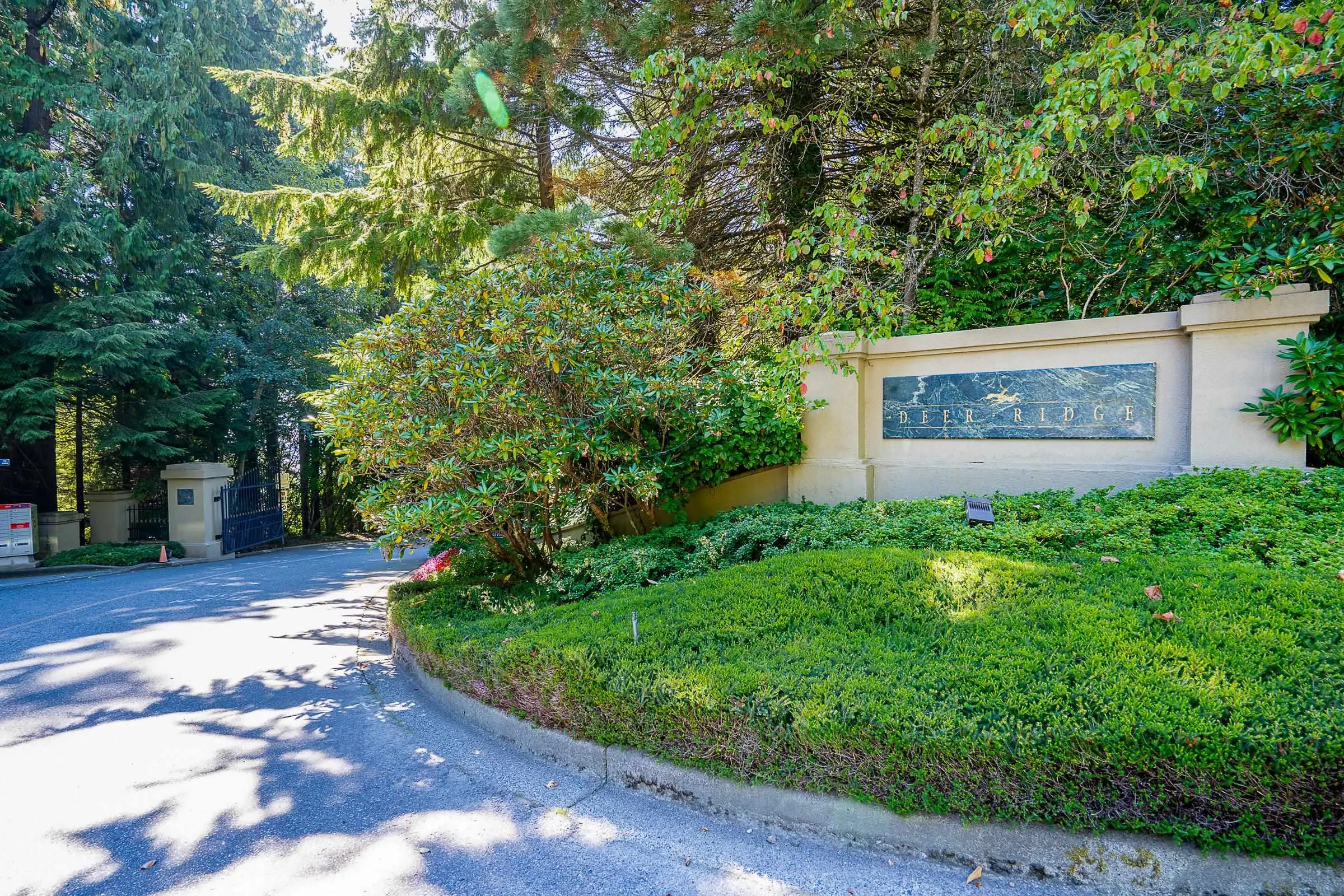 3131 Deer Ridge Drive #402