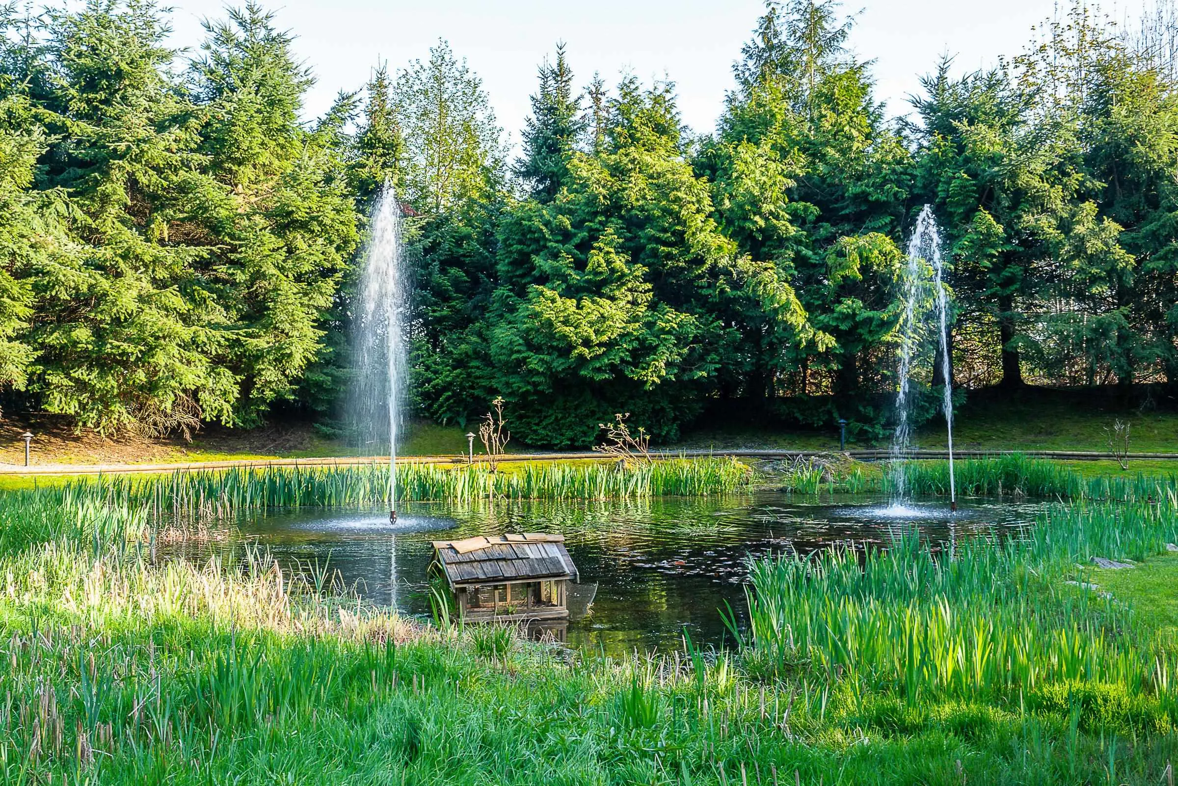 3131 Deer Ridge Drive #402