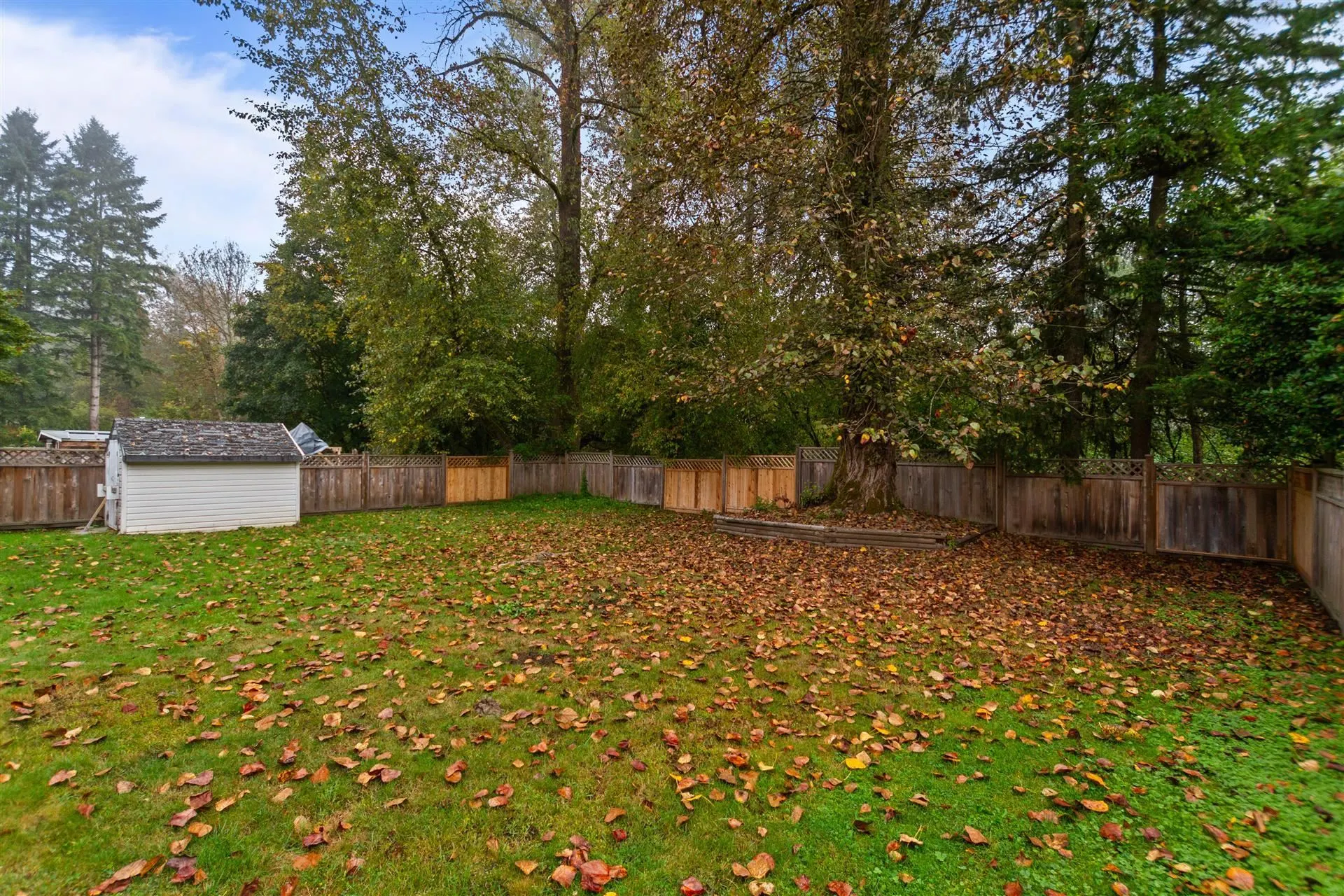 3654 St. Thomas Street #3652