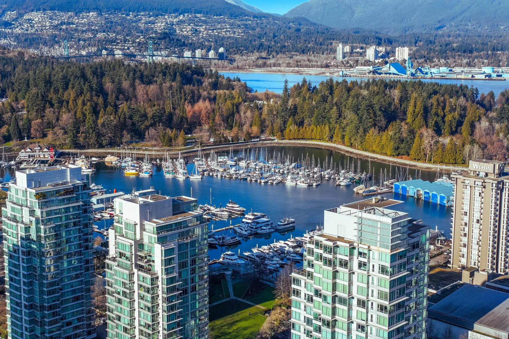 1568 Alberni Street #3702