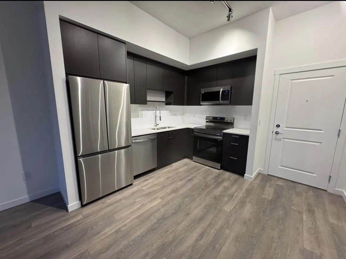 15738 85 Avenue #616