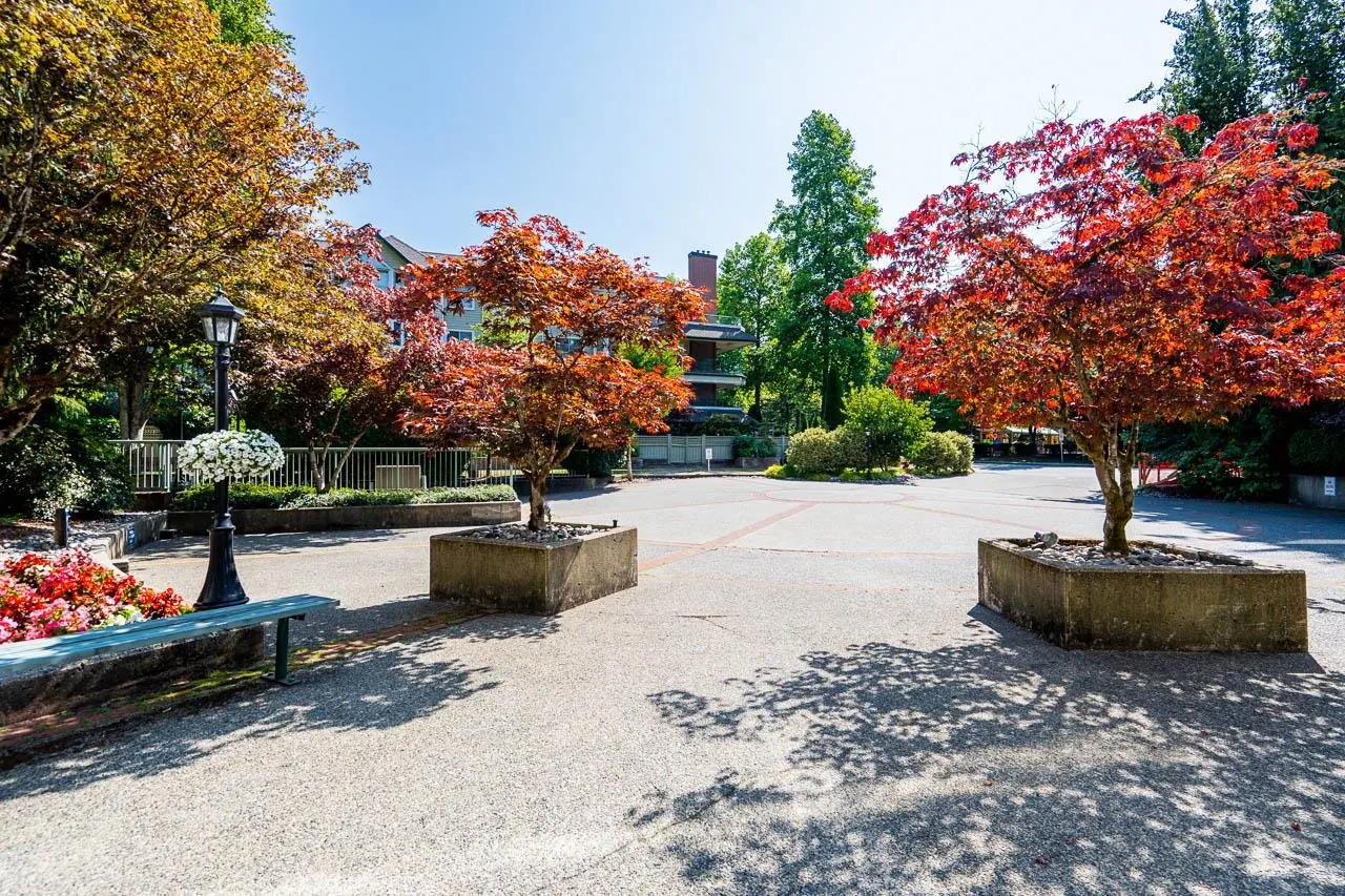 3658 Banff Court #411