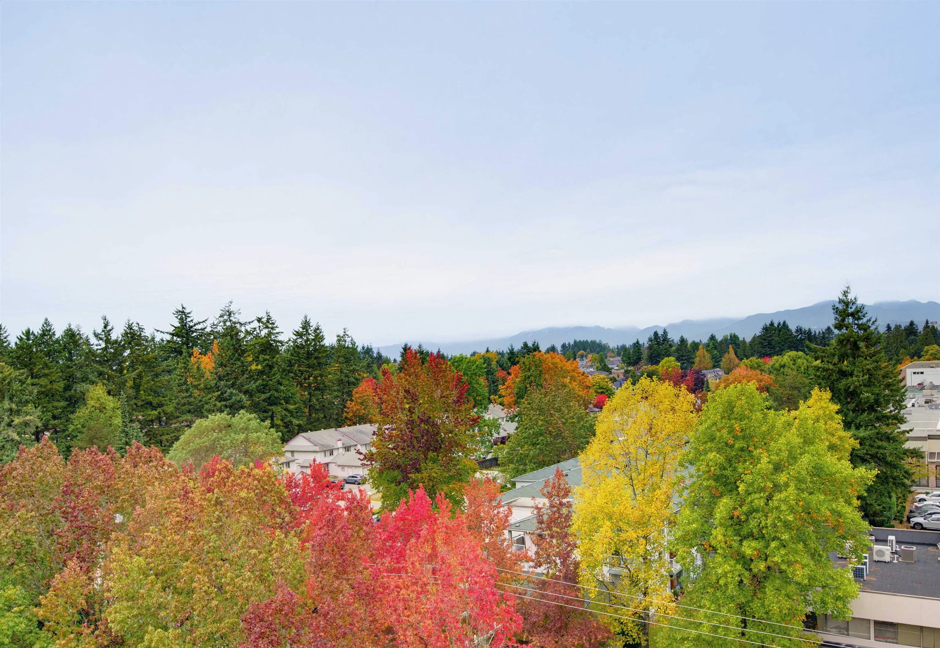 11910 80 Avenue #905