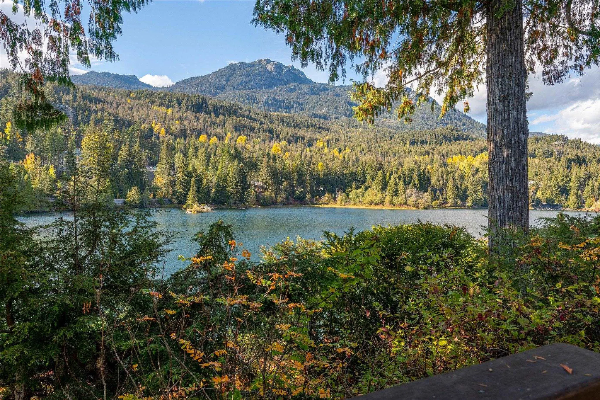 2216 Whistler Ridge