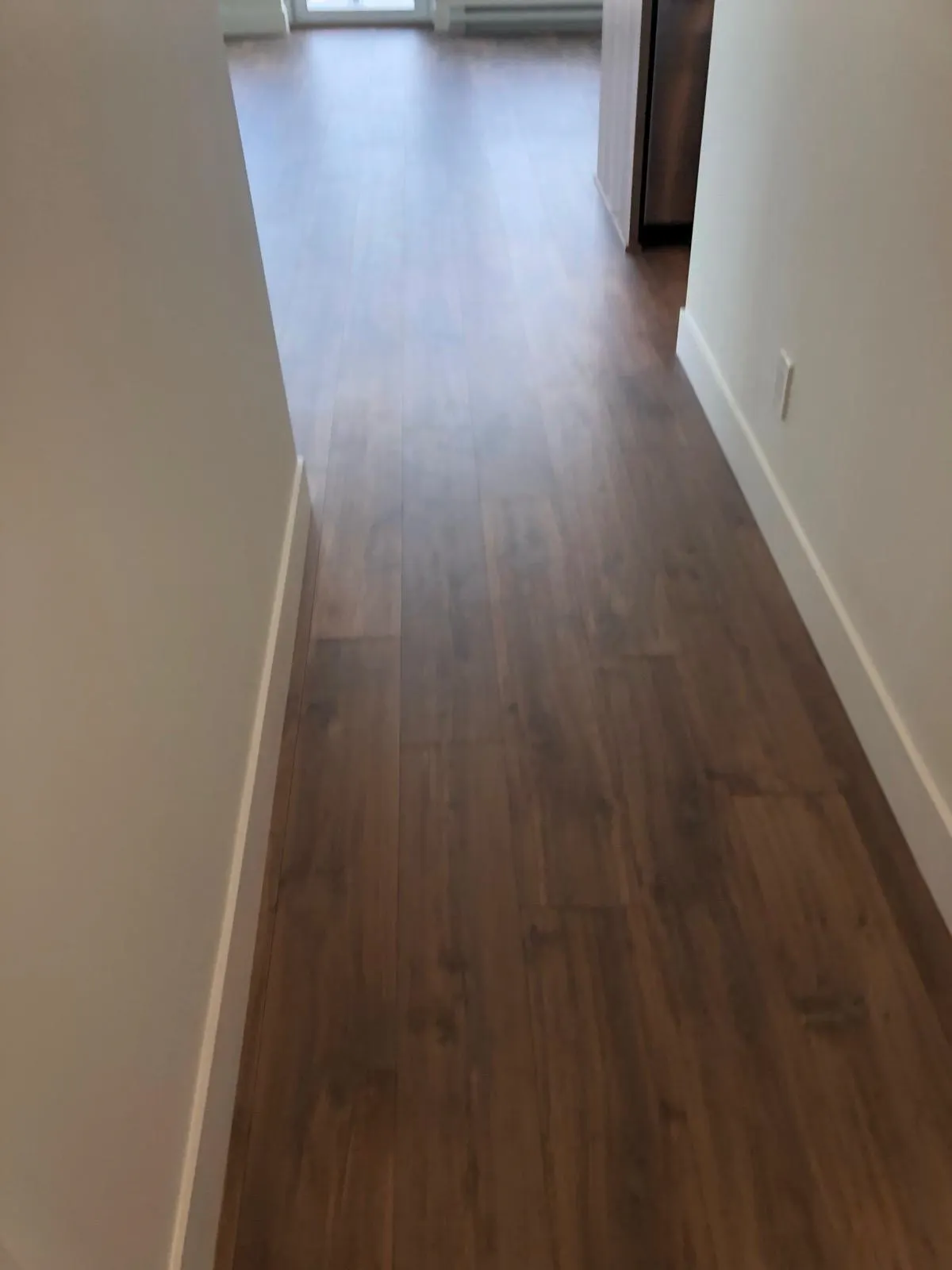 258 Nelson Court #1807