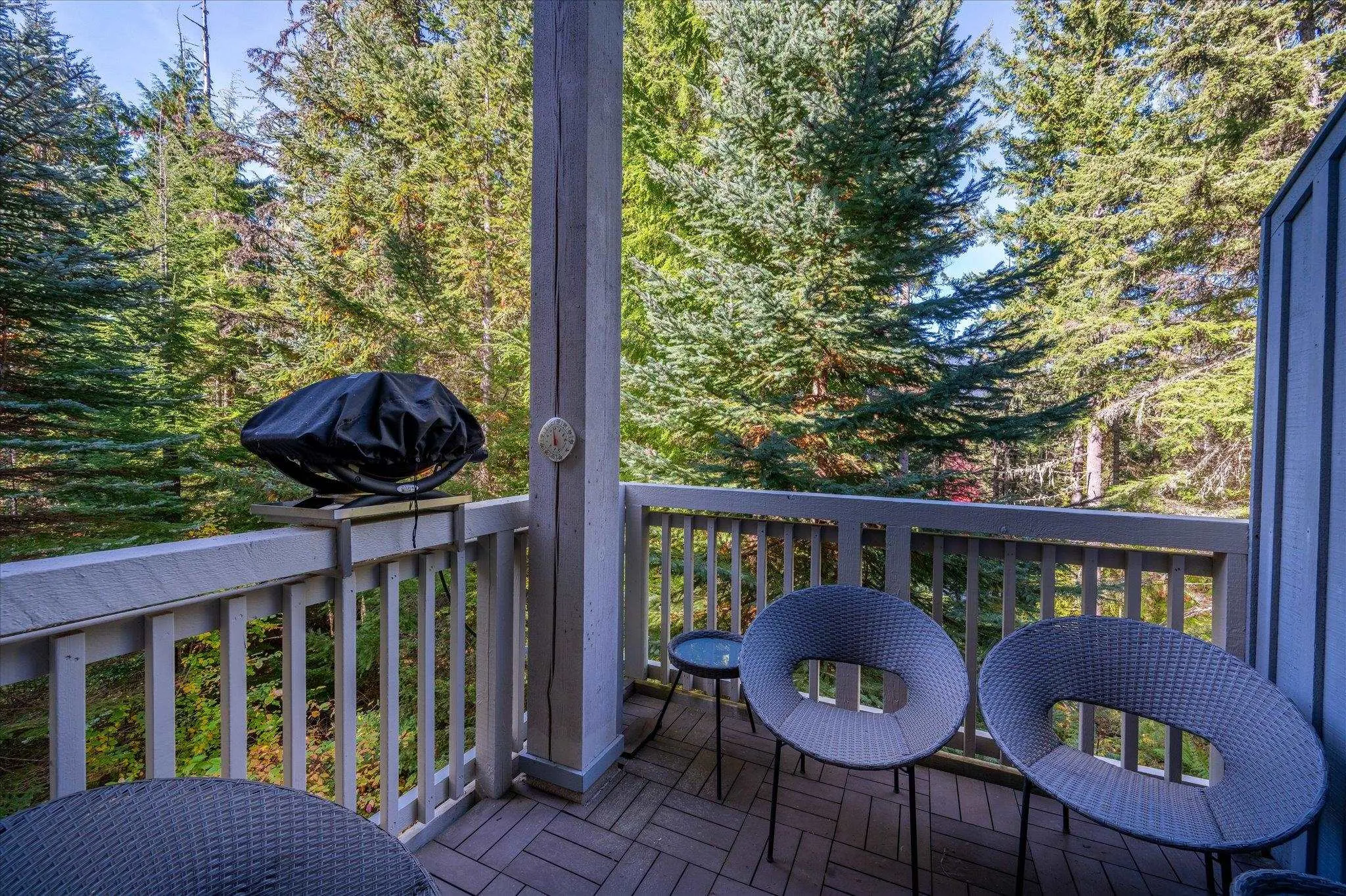 4661 Blackcomb Way #29