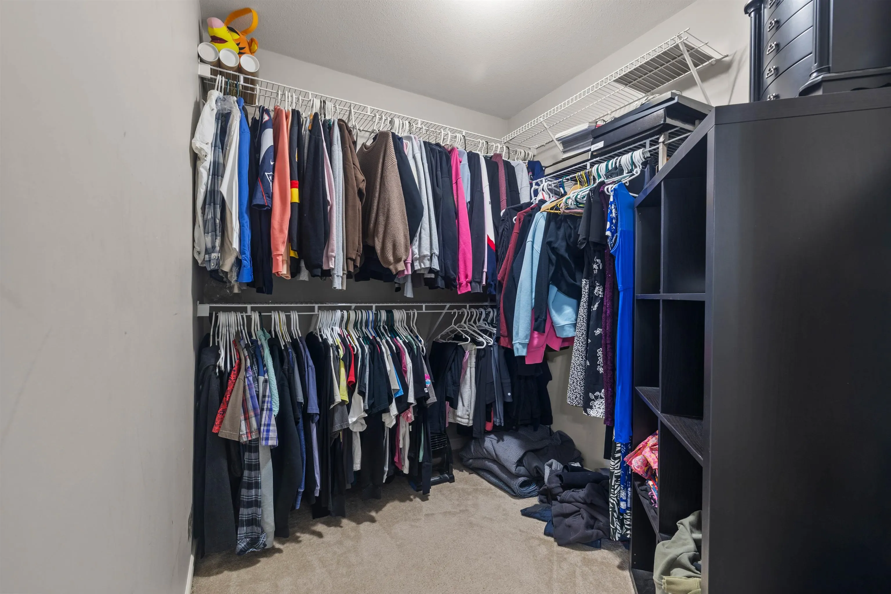 8099 Topper Drive