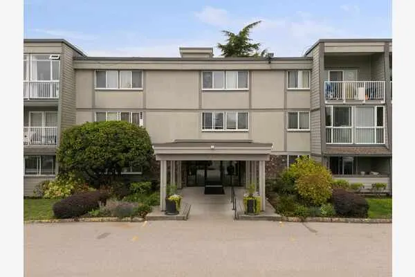 3451 Springfield Drive #206