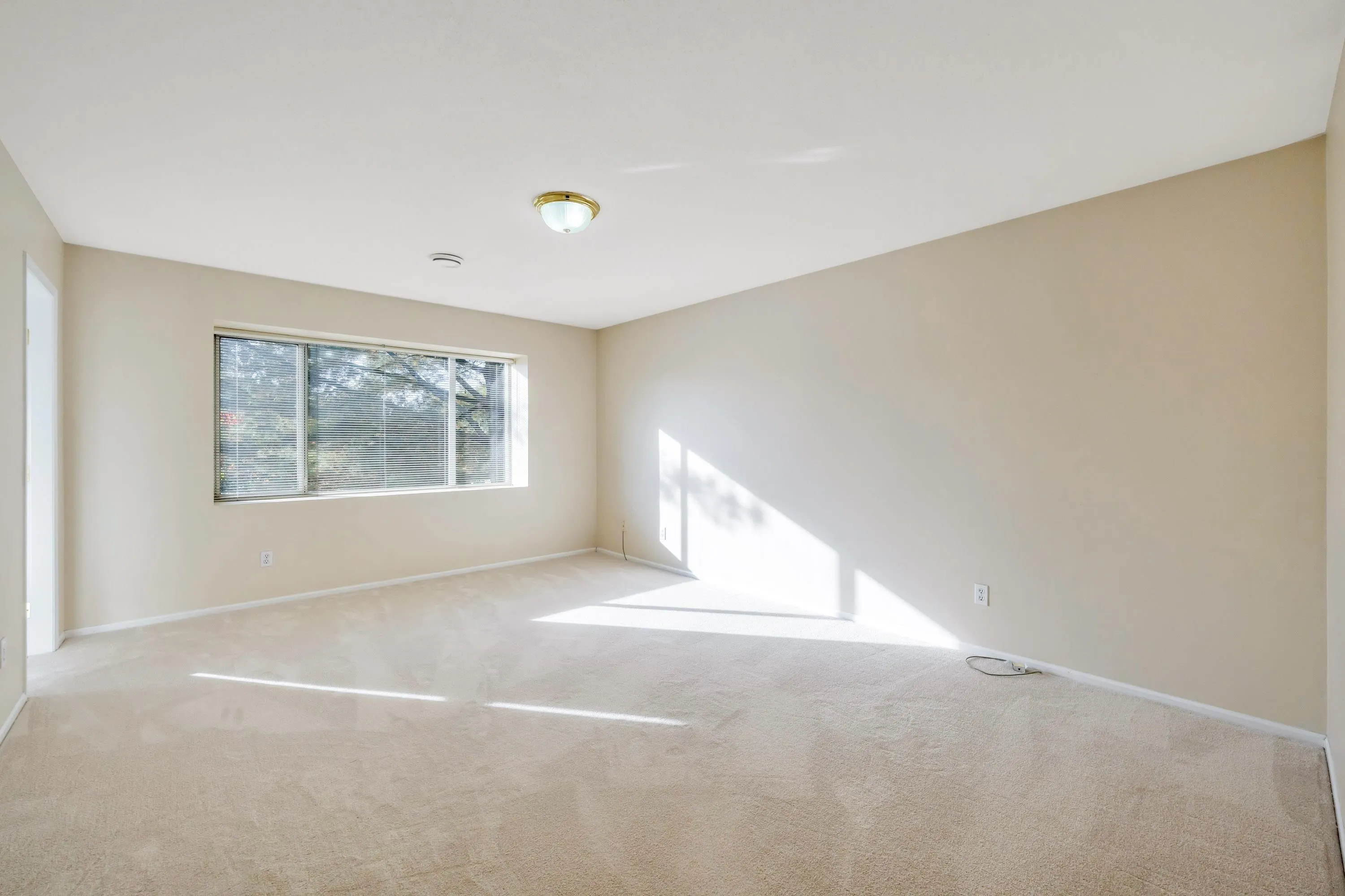 20881 87 Avenue #1