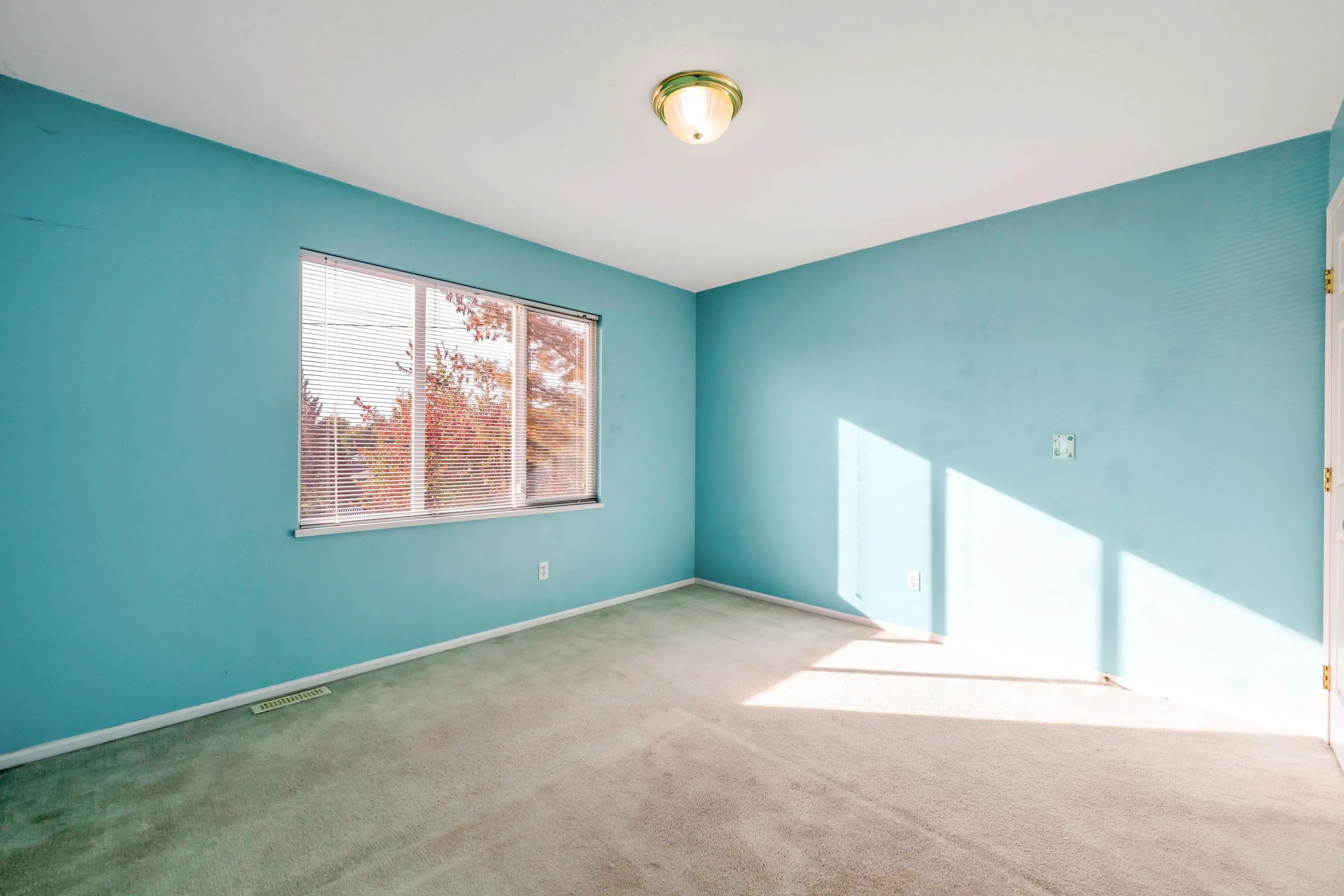20881 87 Avenue #1