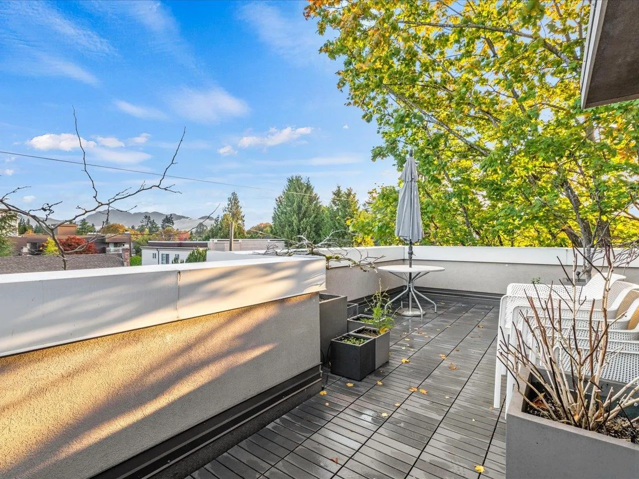 2450 Alma Street #1