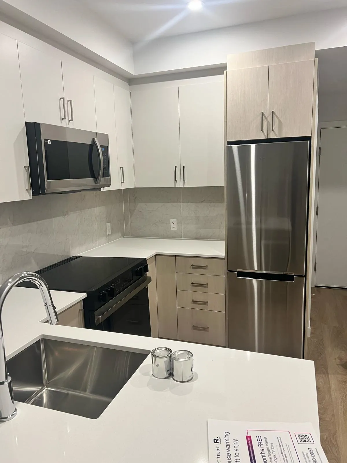 13838 108 Avenue #209