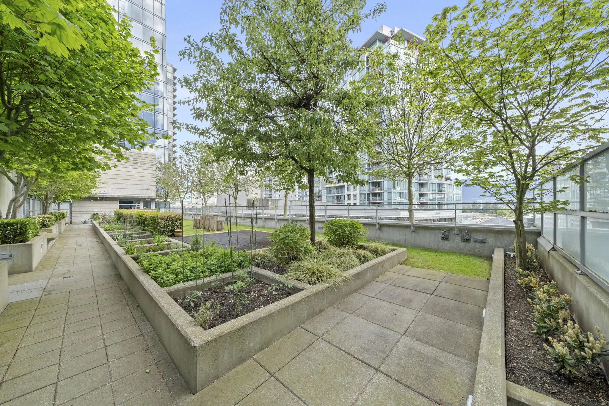 1409 W Pender Street #201