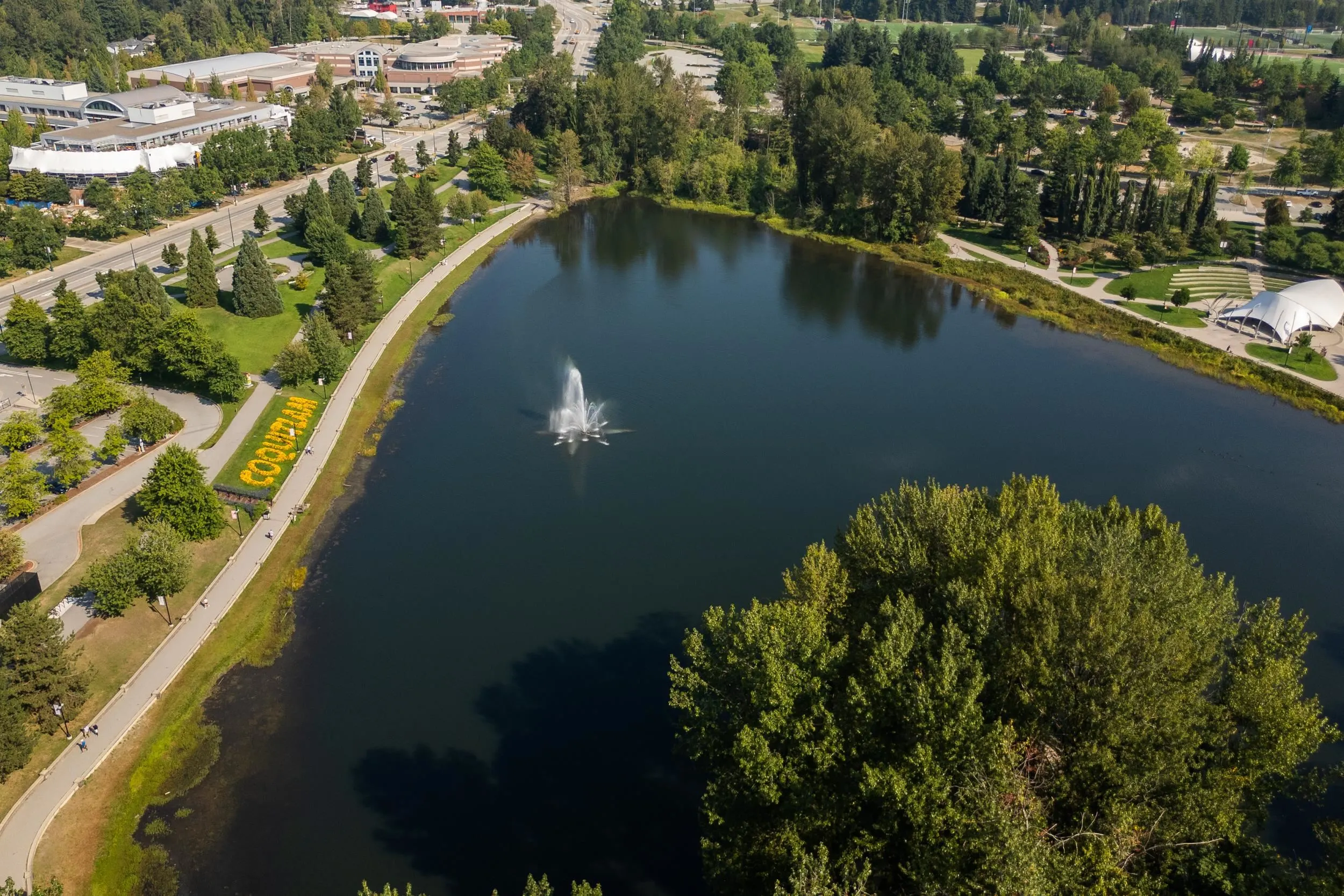 1196 Pipeline Road #1703