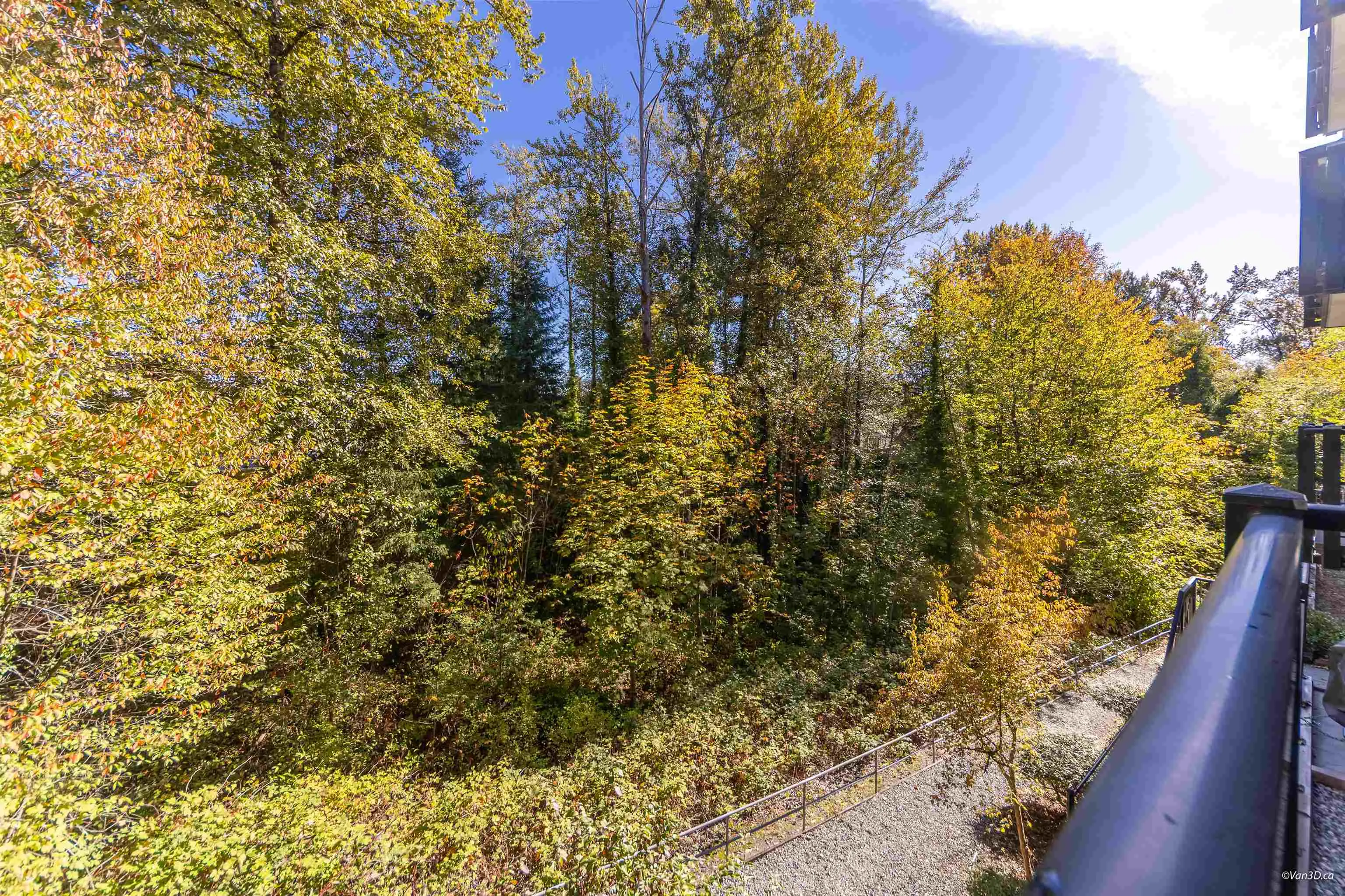 11667 Haney Bypass #204