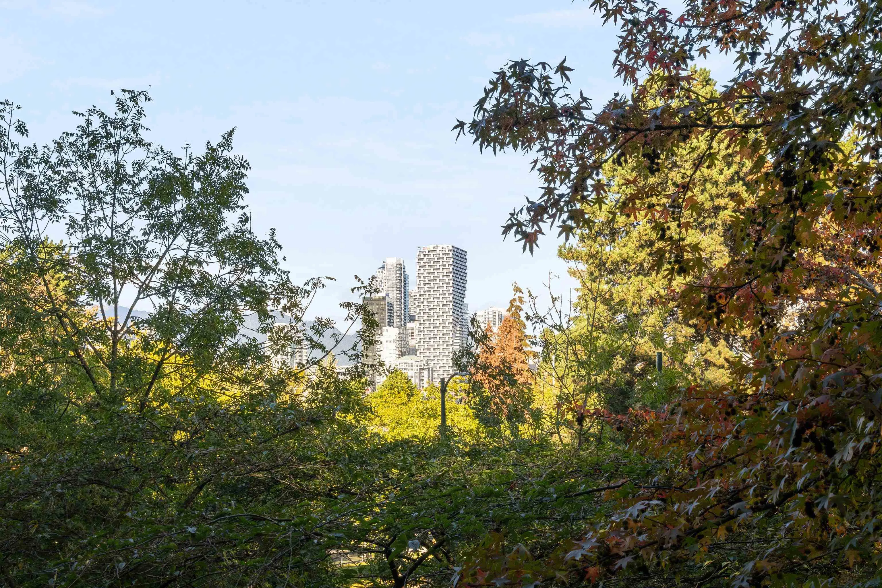1485 W 6th Avenue #204