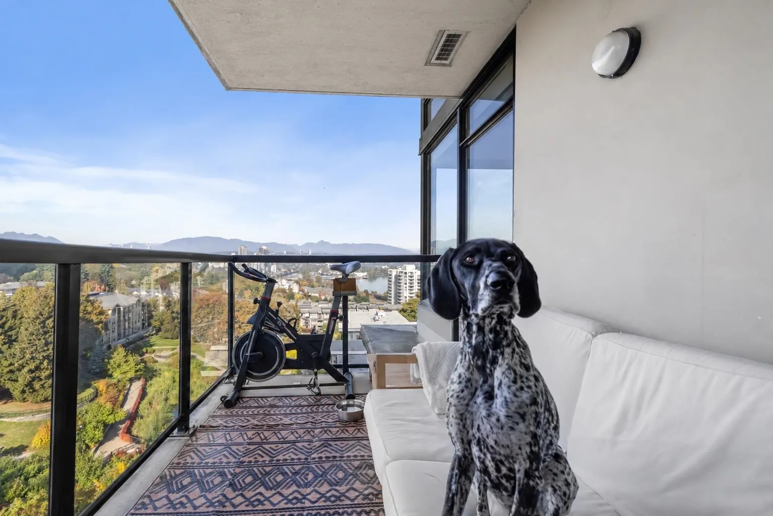 15 E Royal Avenue #1105