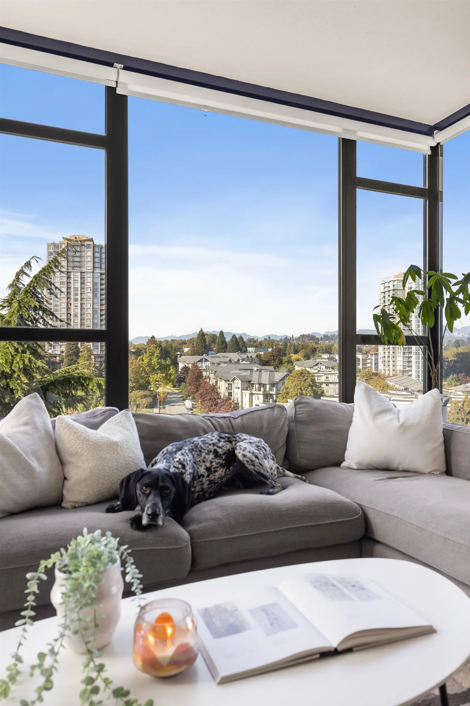 15 E Royal Avenue #1105
