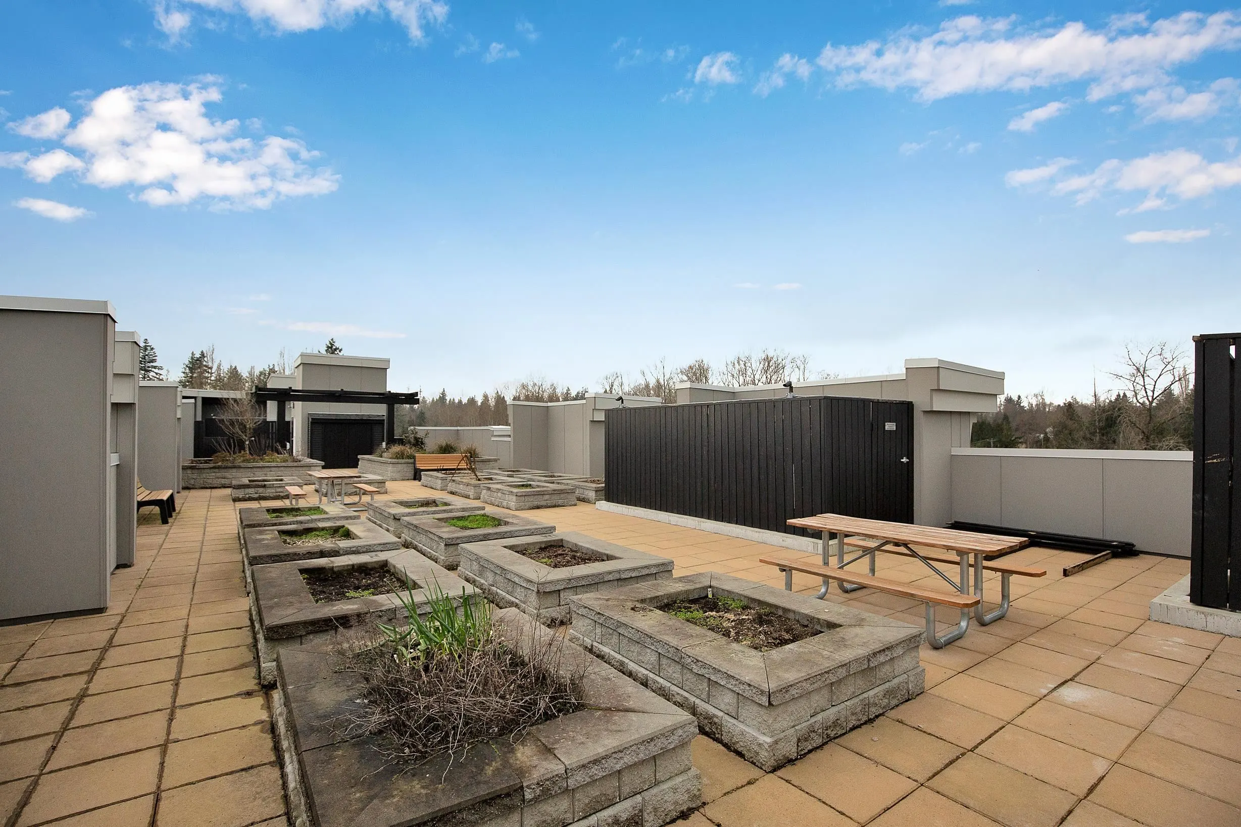 20826 72 Avenue #505
