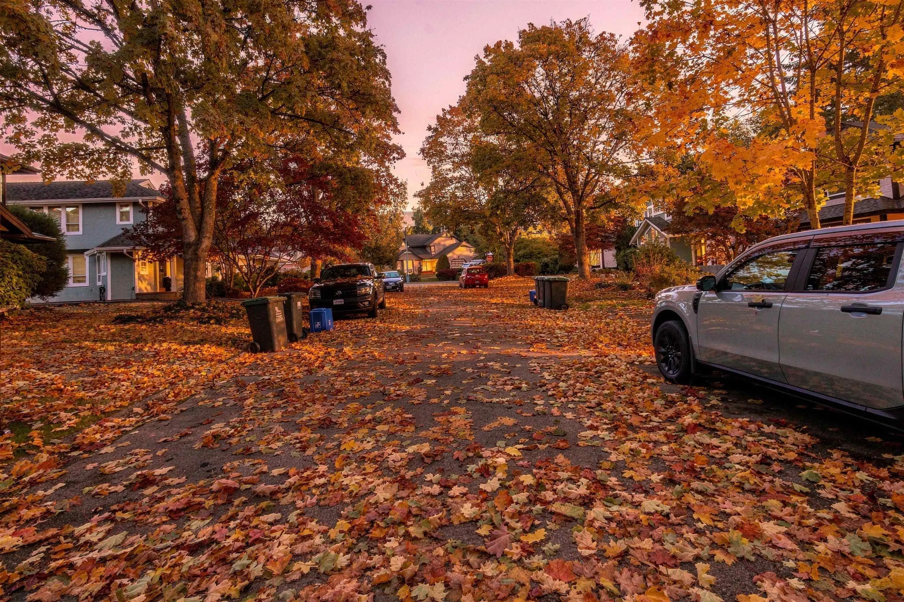 865 Ruckle Court