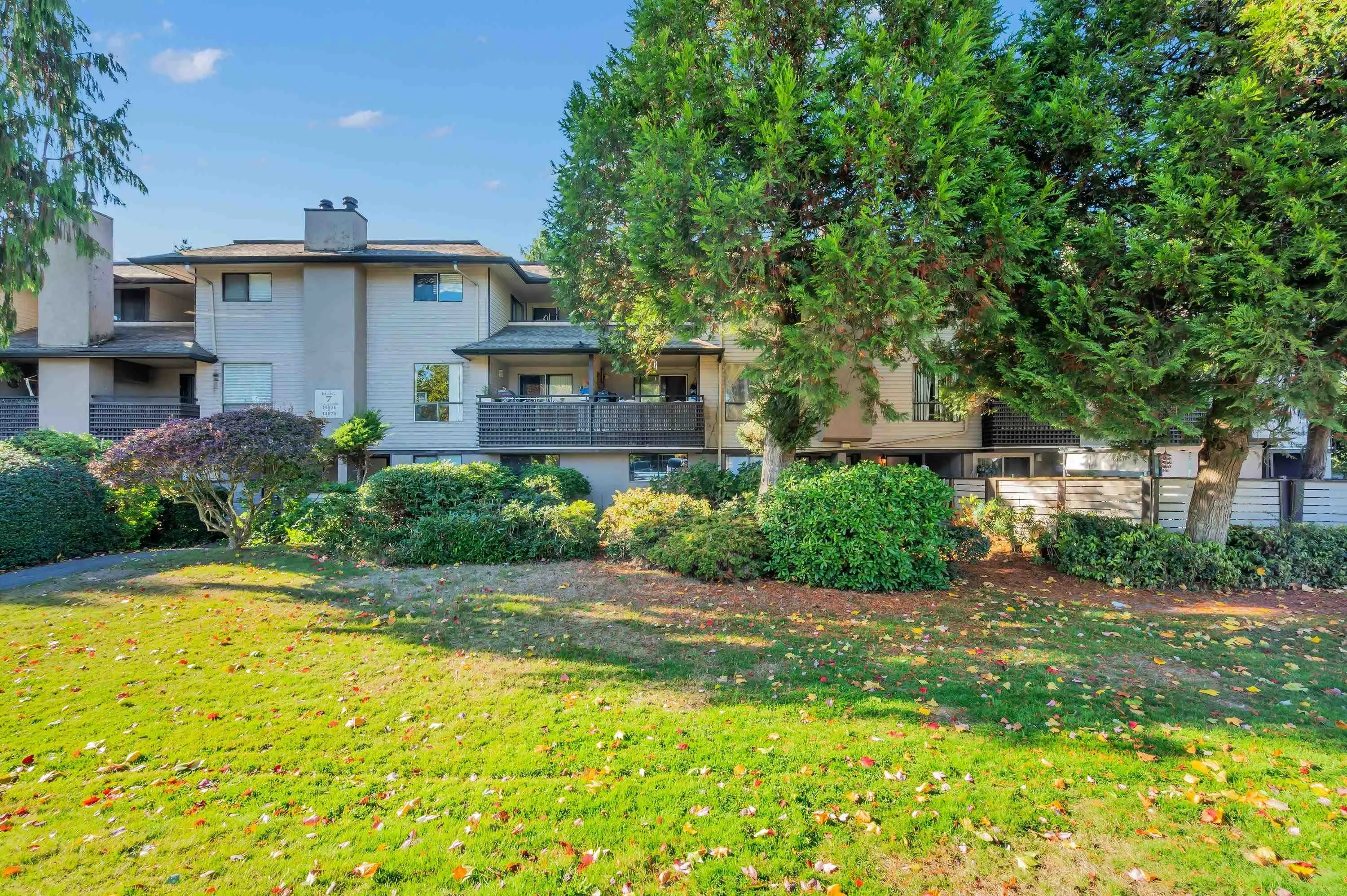 HOLLY Park Lane #14846
