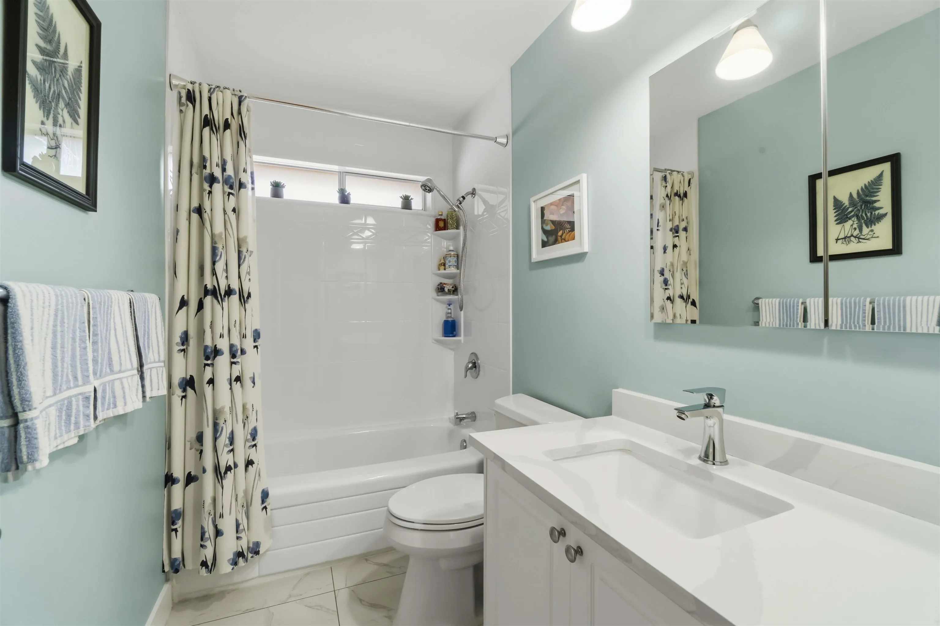 #7-2719 St. Michael Street