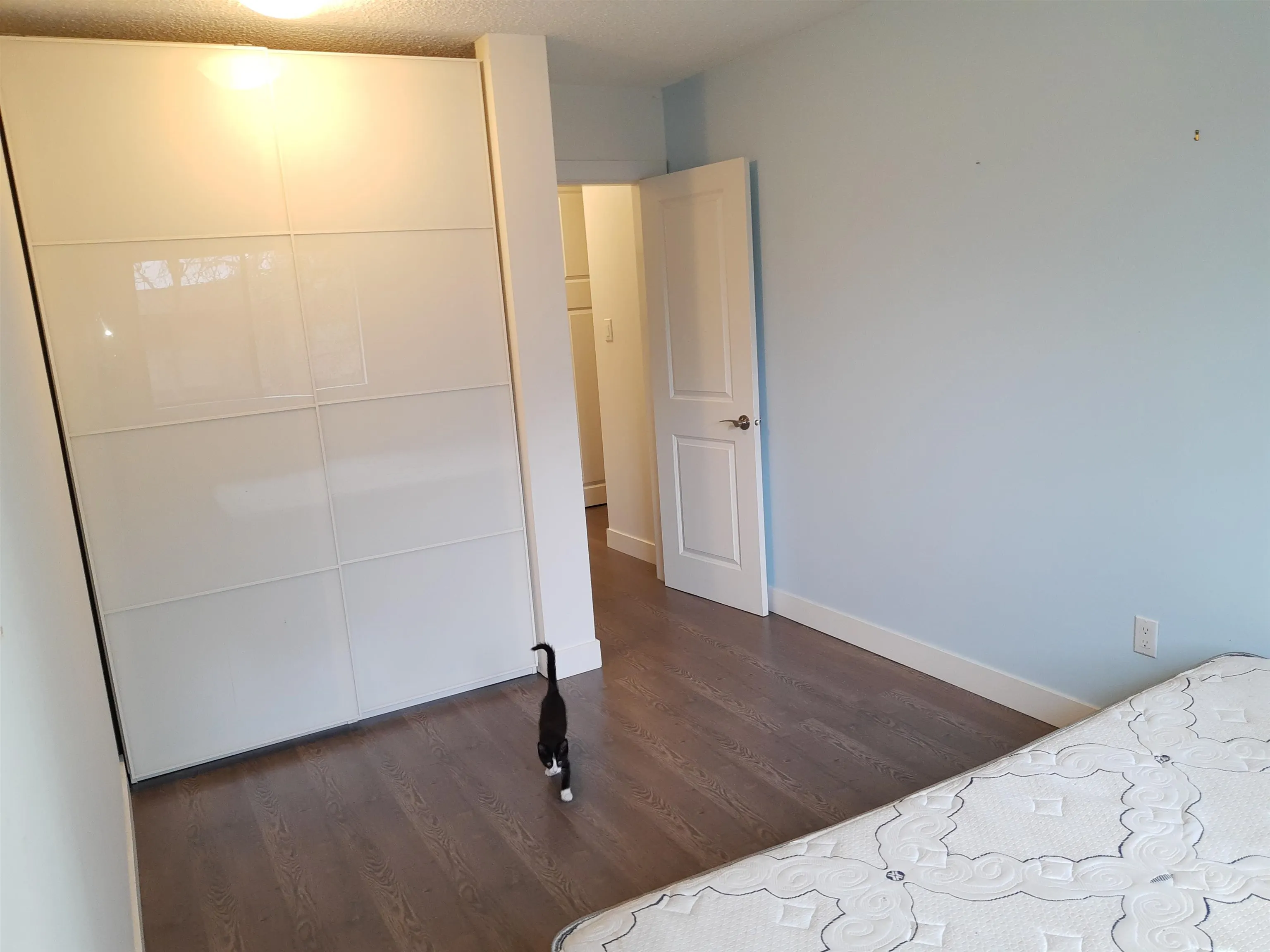 2441 Kelly Avenue #31