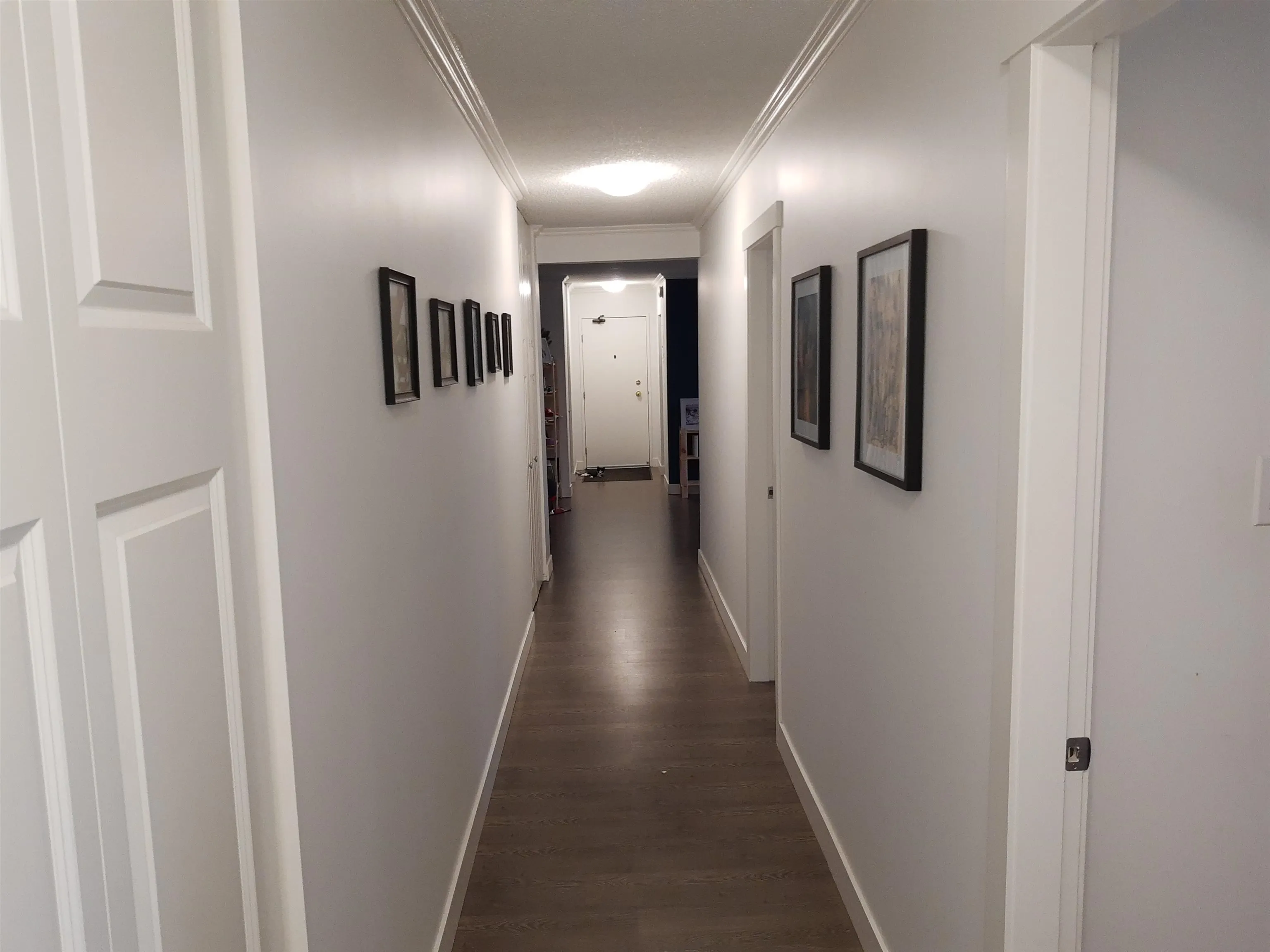 2441 Kelly Avenue #31