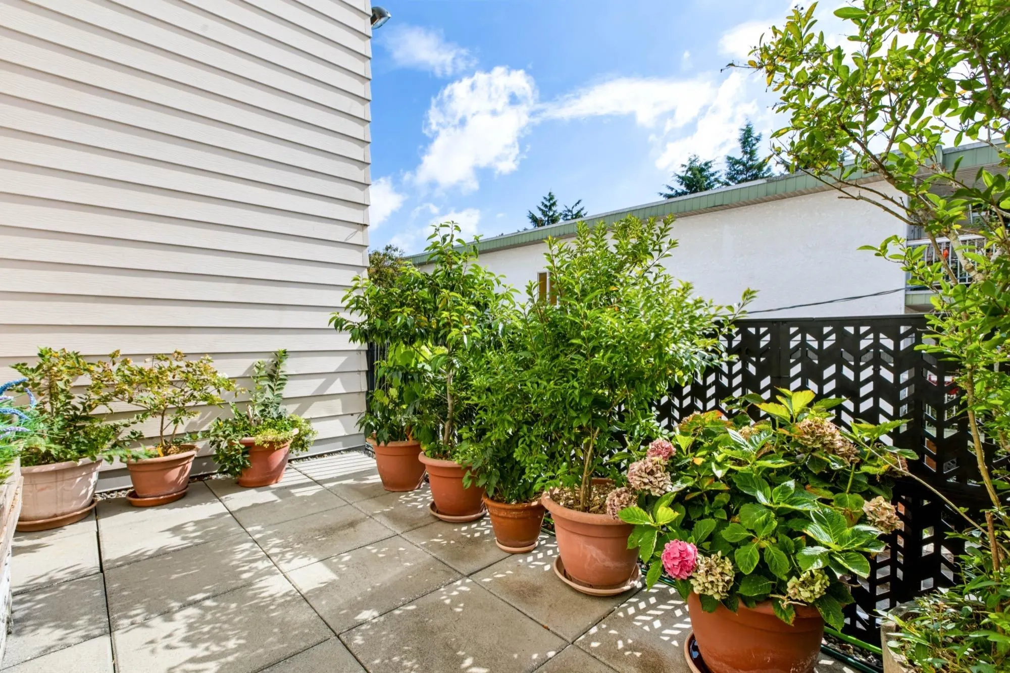1442 Blackwood Street #119