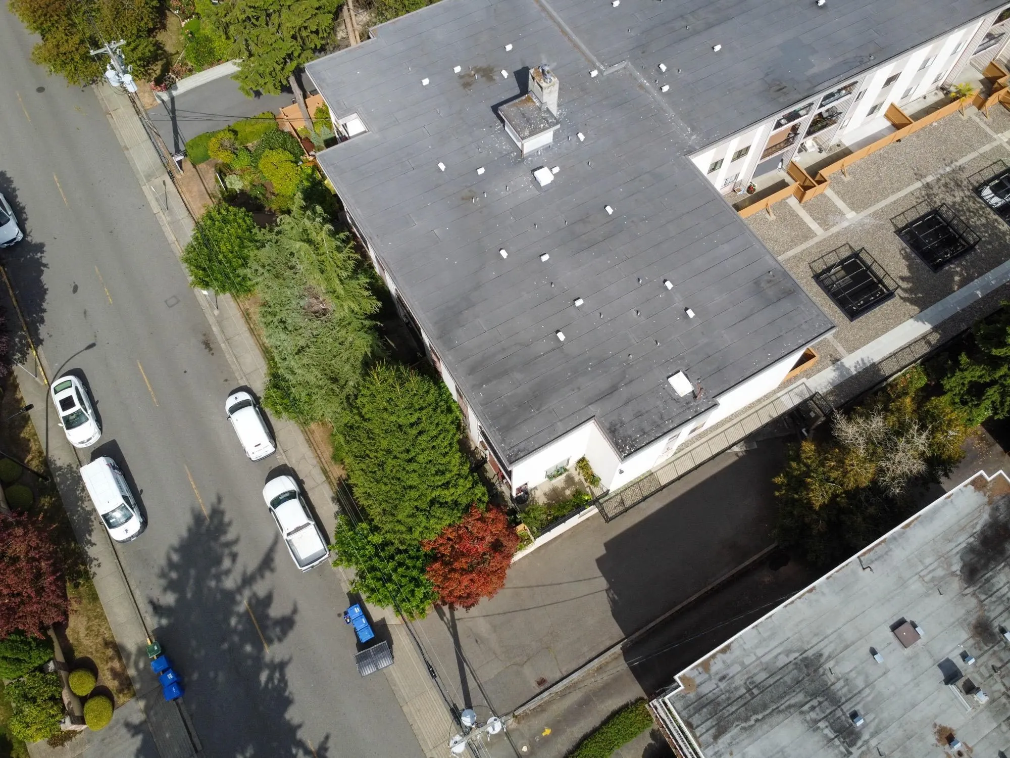 1442 Blackwood Street #119