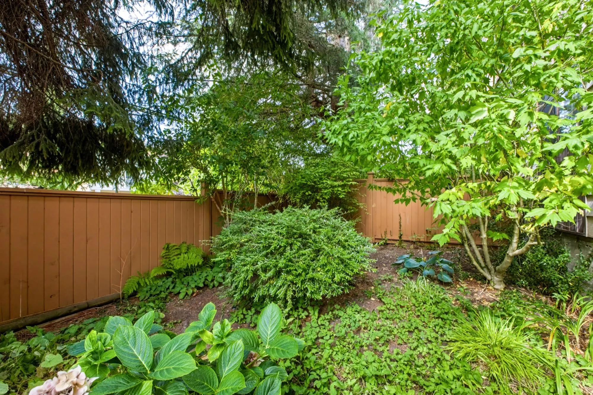 1442 Blackwood Street #119