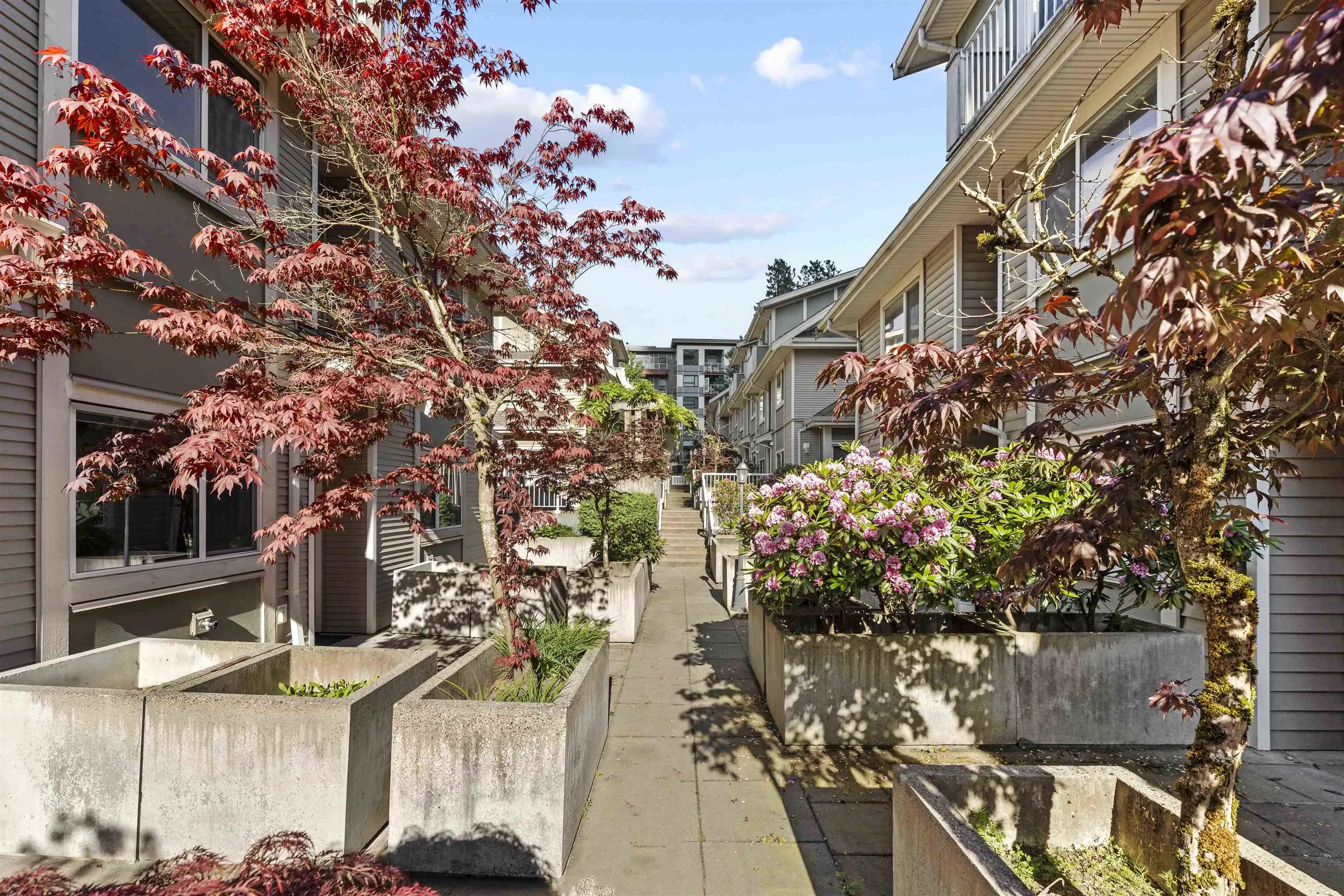 621 Langside Avenue #13