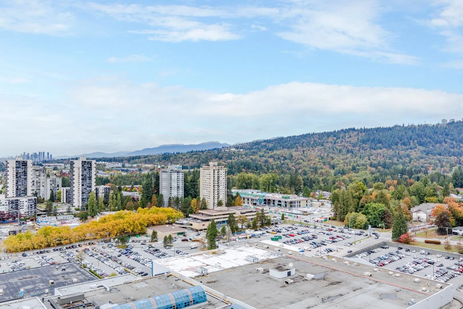 3809 Evergreen Place #2001