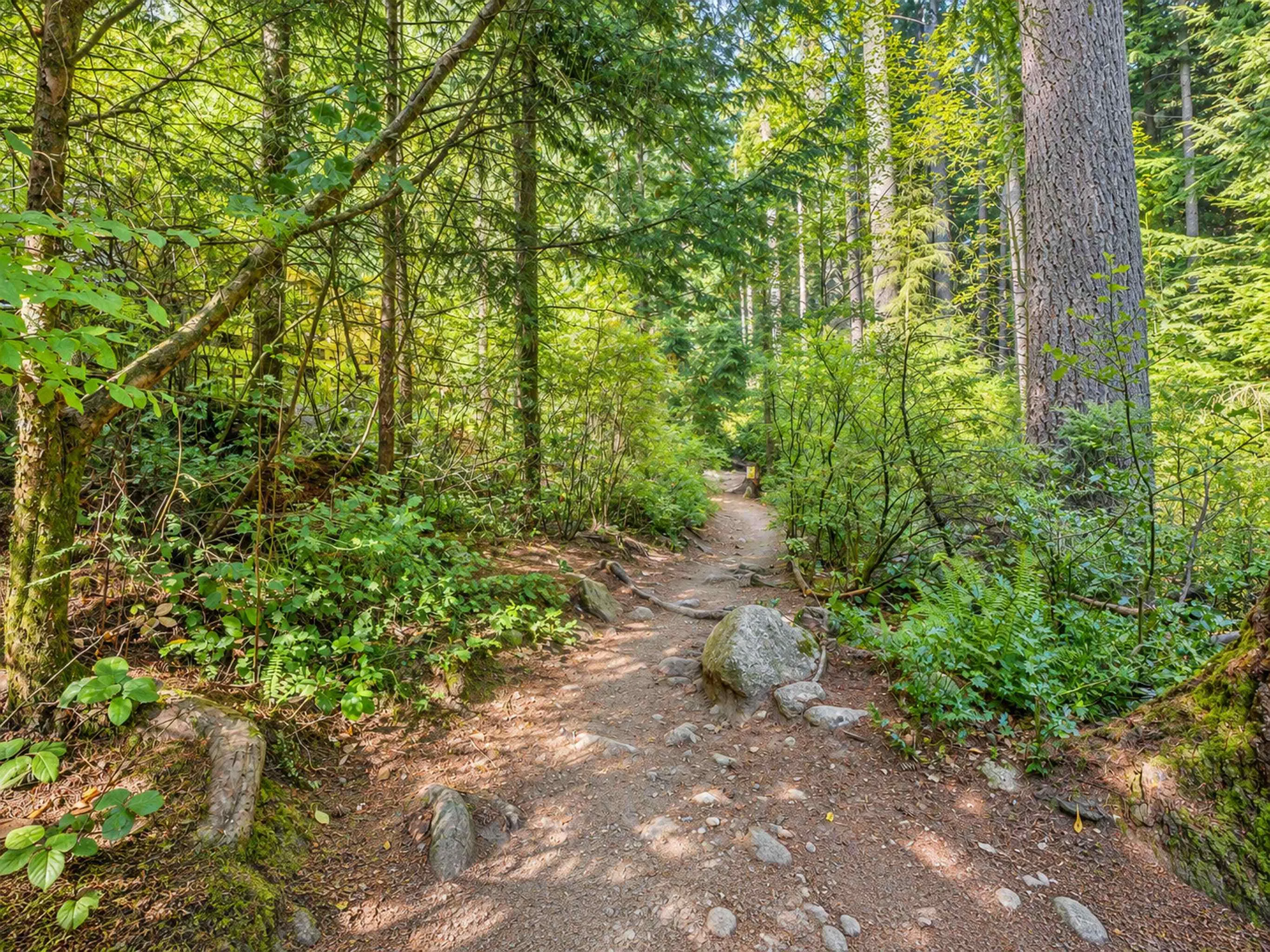 167 Fernway Drive