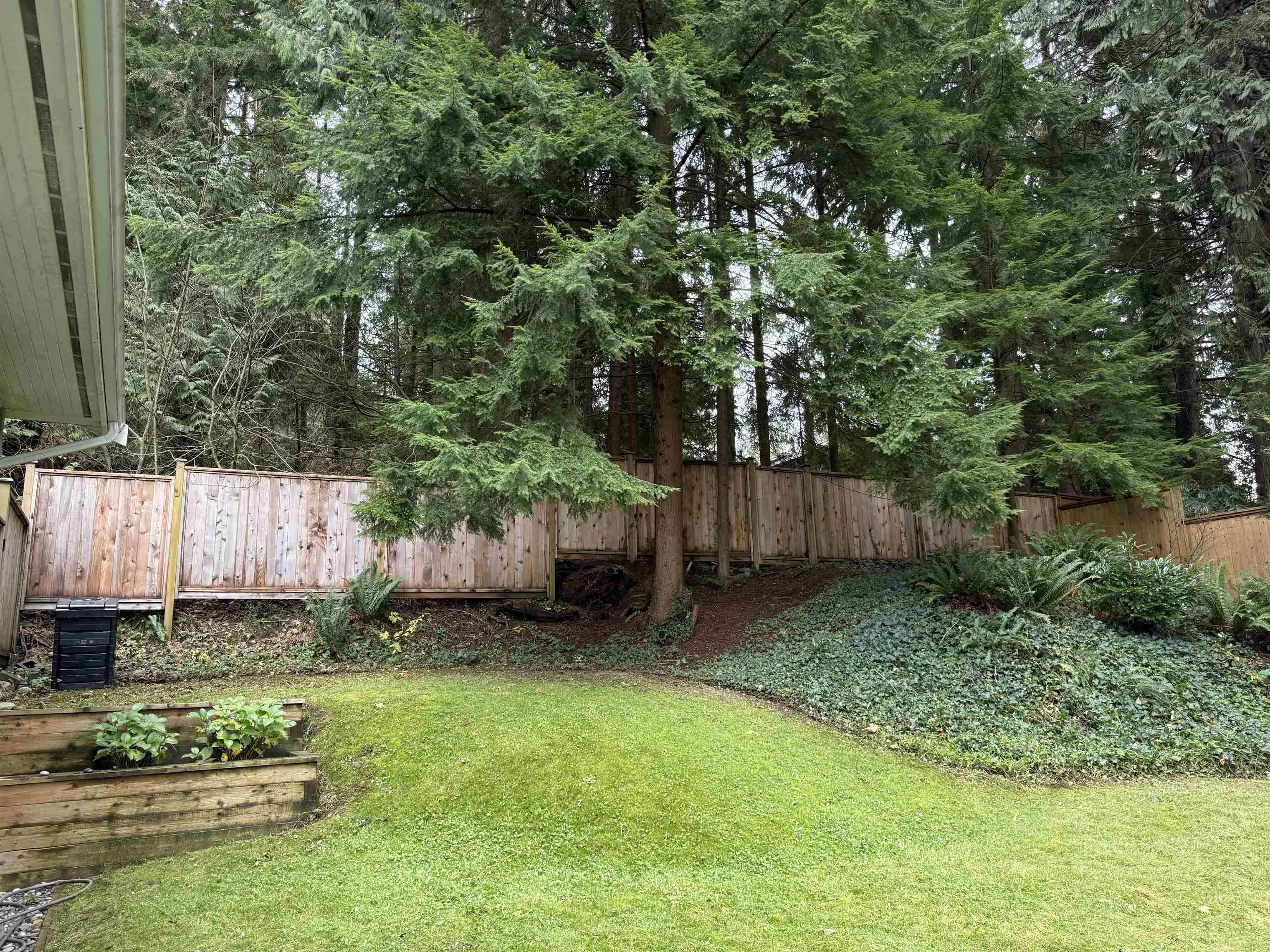 4593 Cliffmont Road