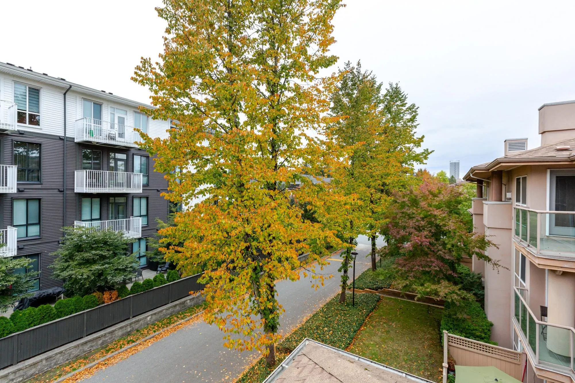 14998 101a Avenue #306
