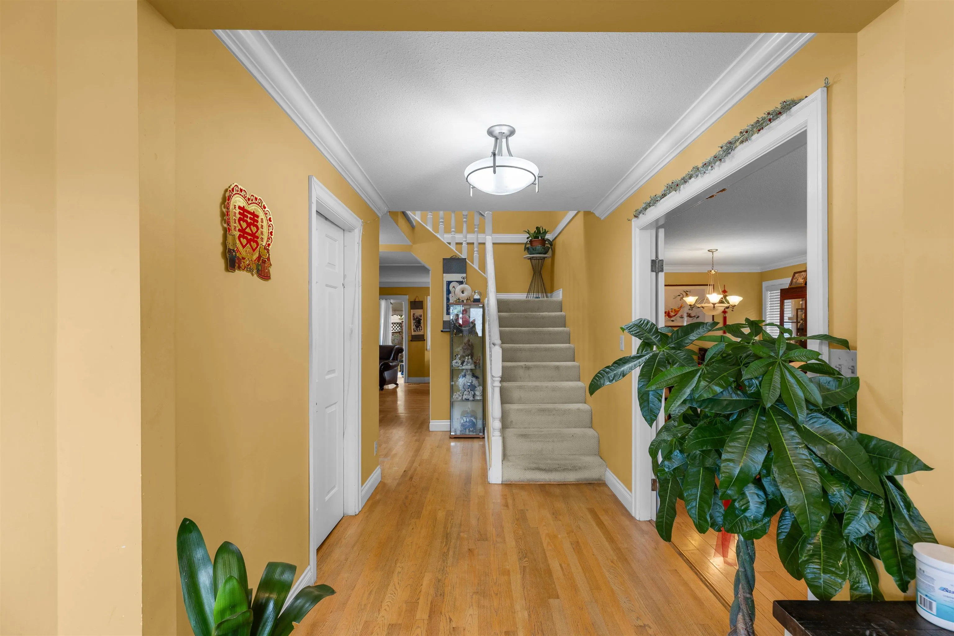 3504 Creston Drive