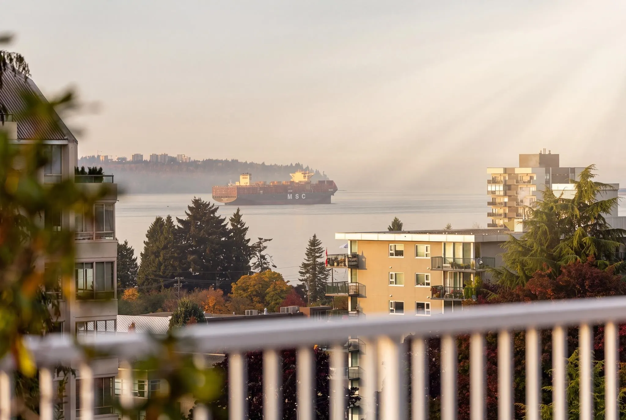 1425 Esquimalt Avenue #701