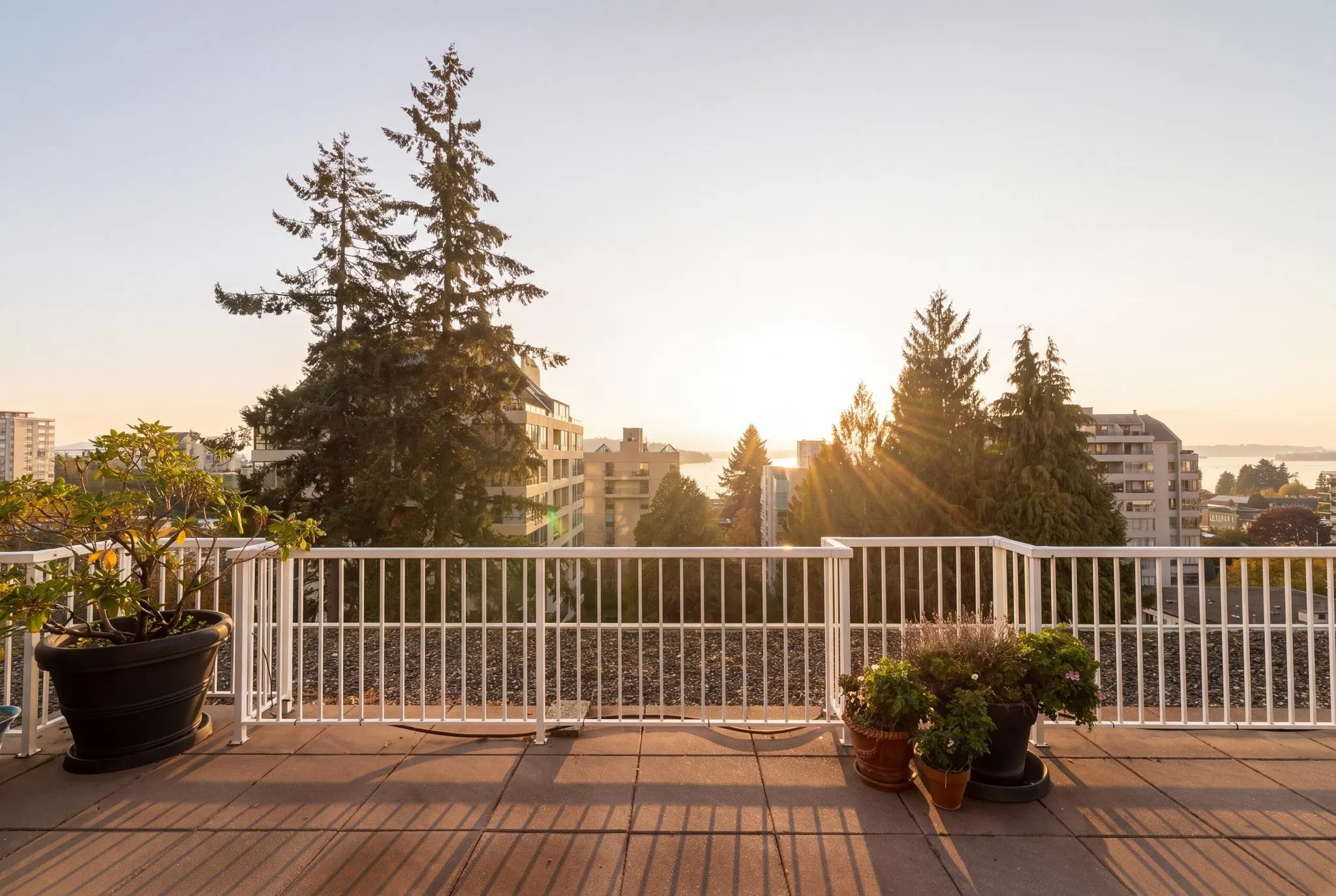 1425 Esquimalt Avenue #701