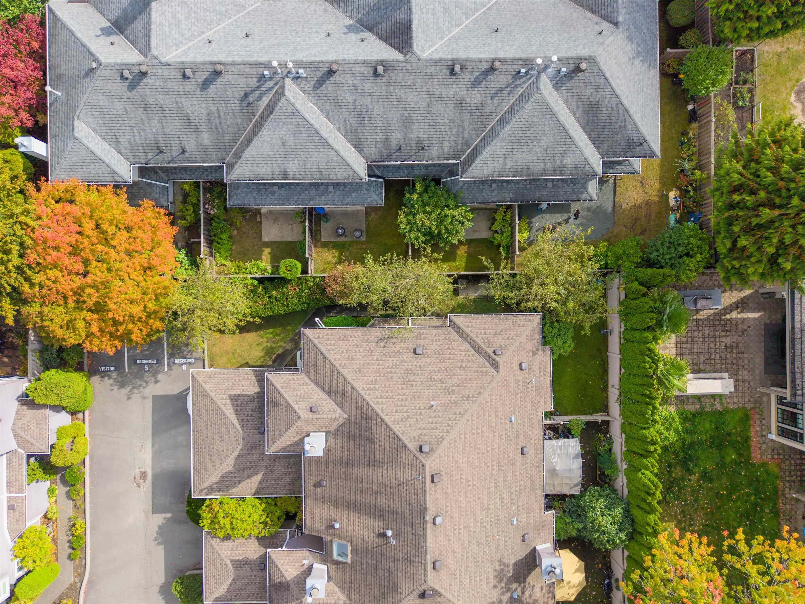 5111 Maple Road #6