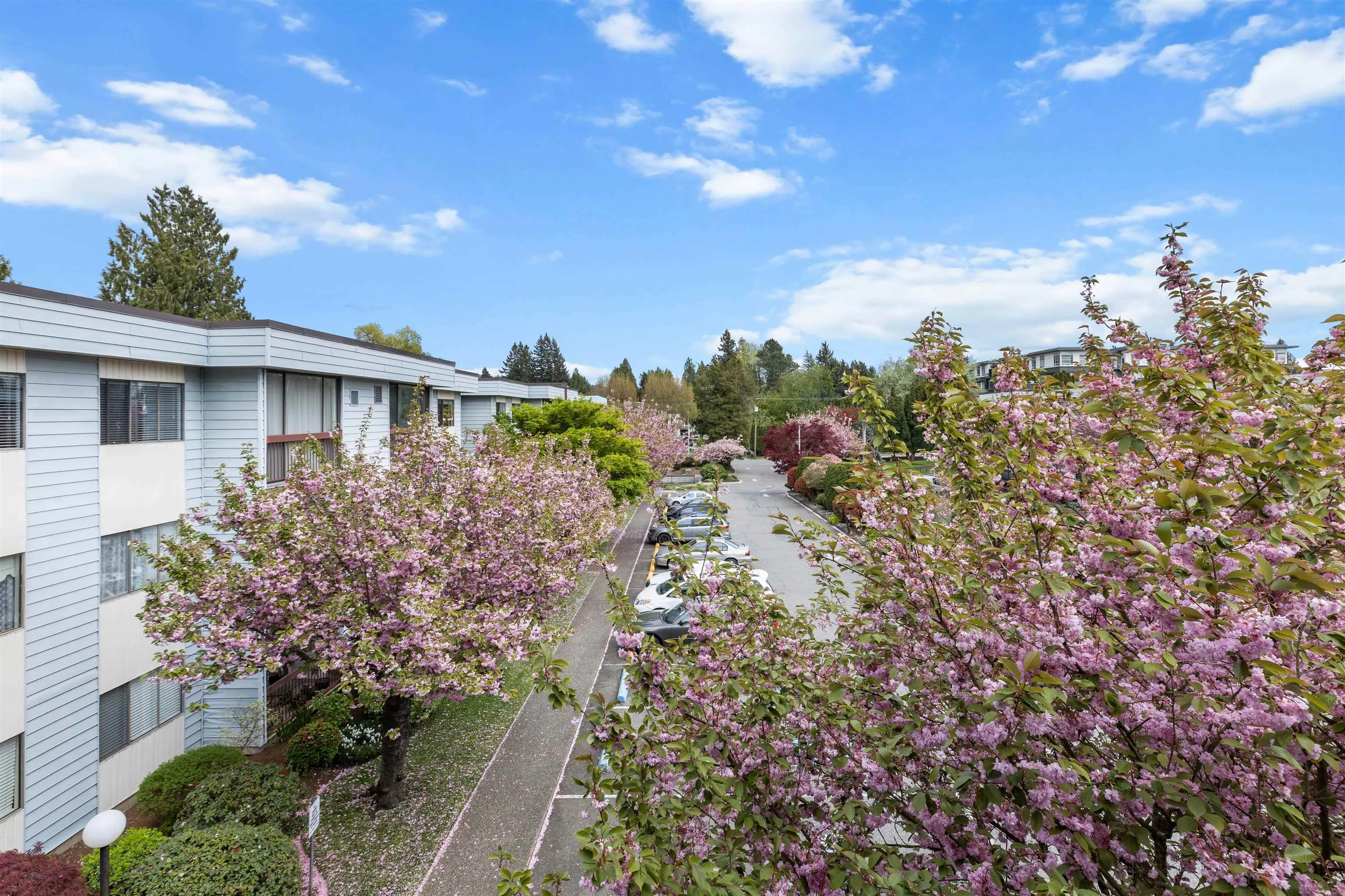 2279 Mccallum Road #307