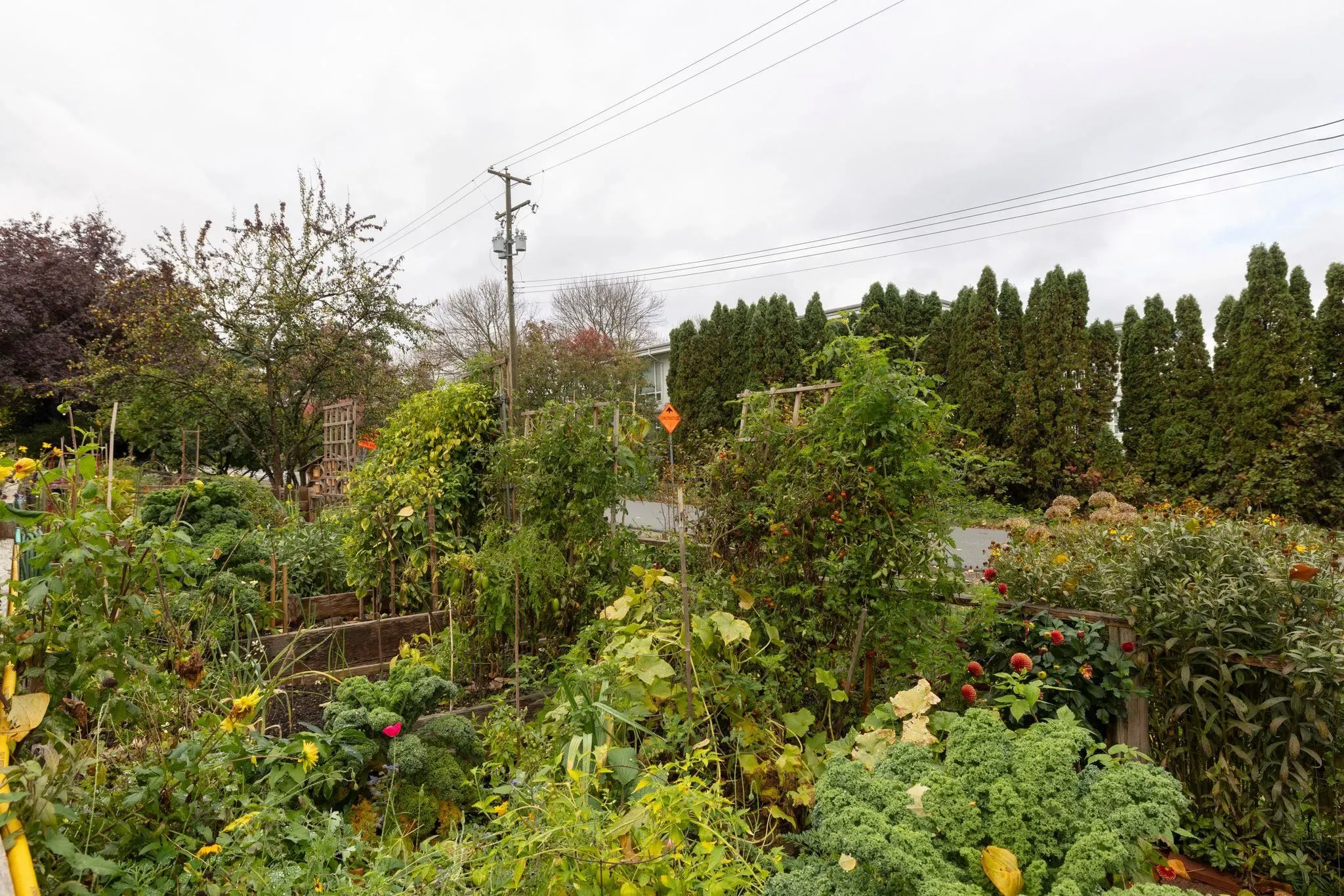 1890 W 6th Avenue #115