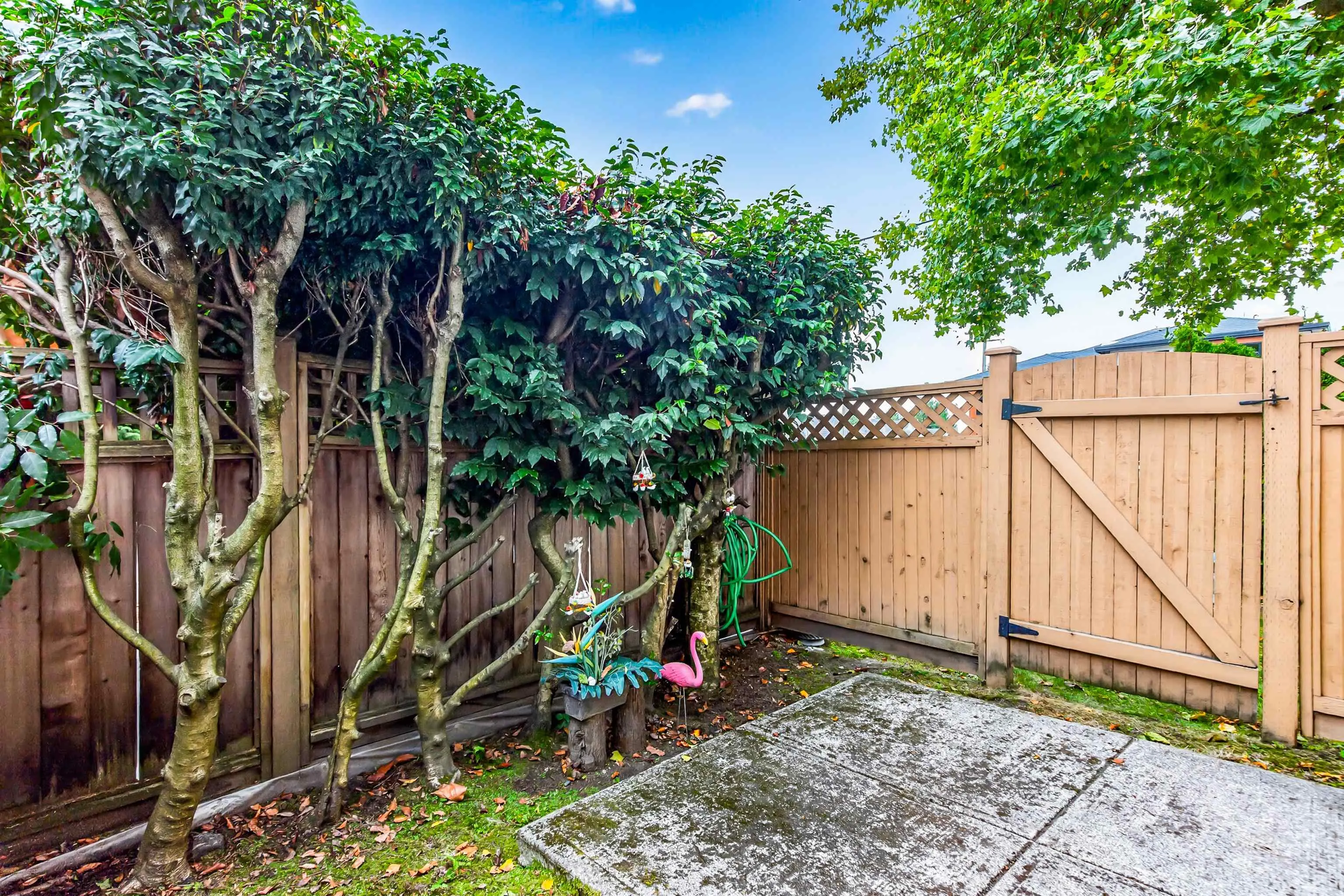 11331 Cambie Road #1