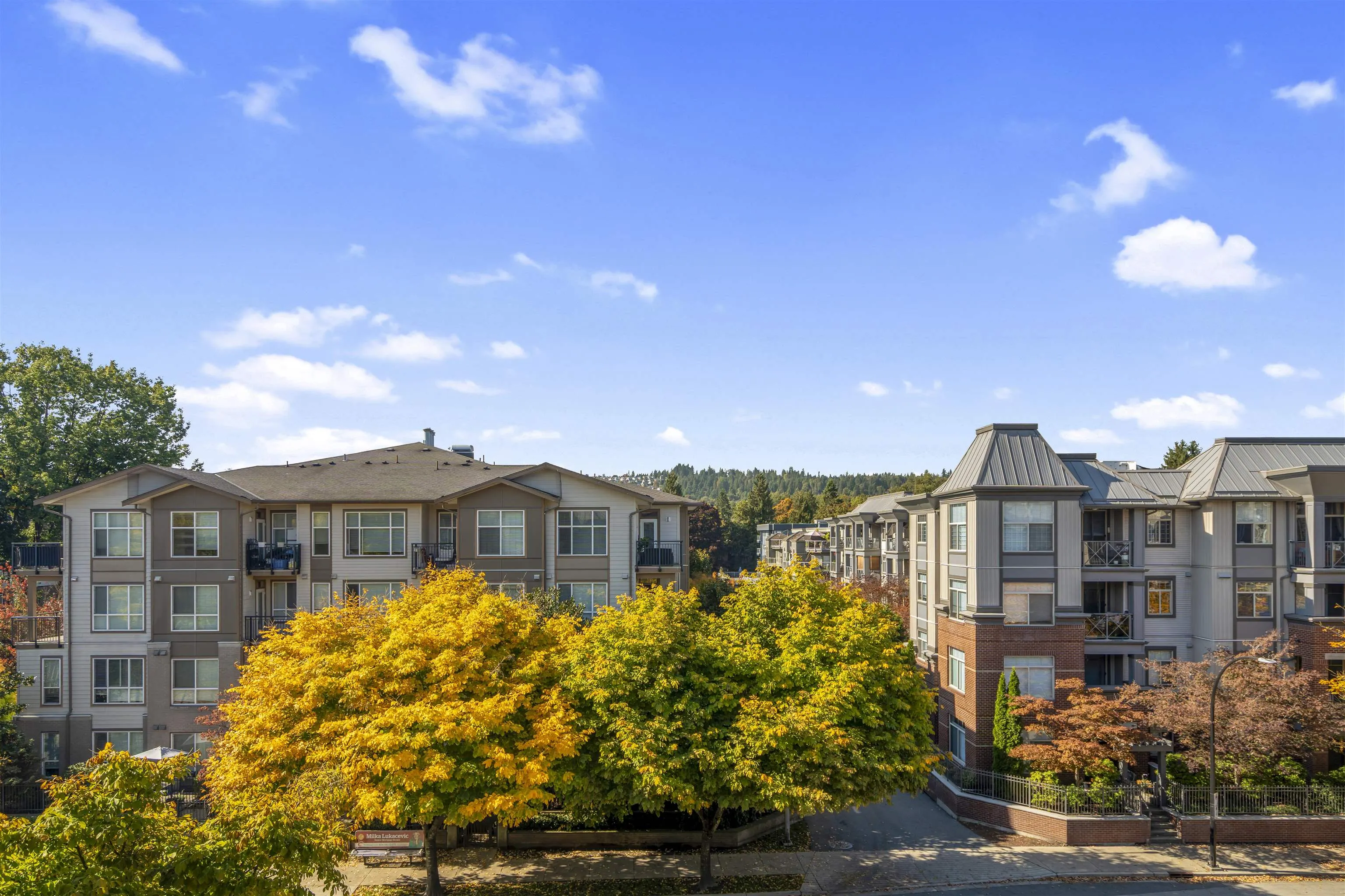 2478 Shaughnessy Street #402